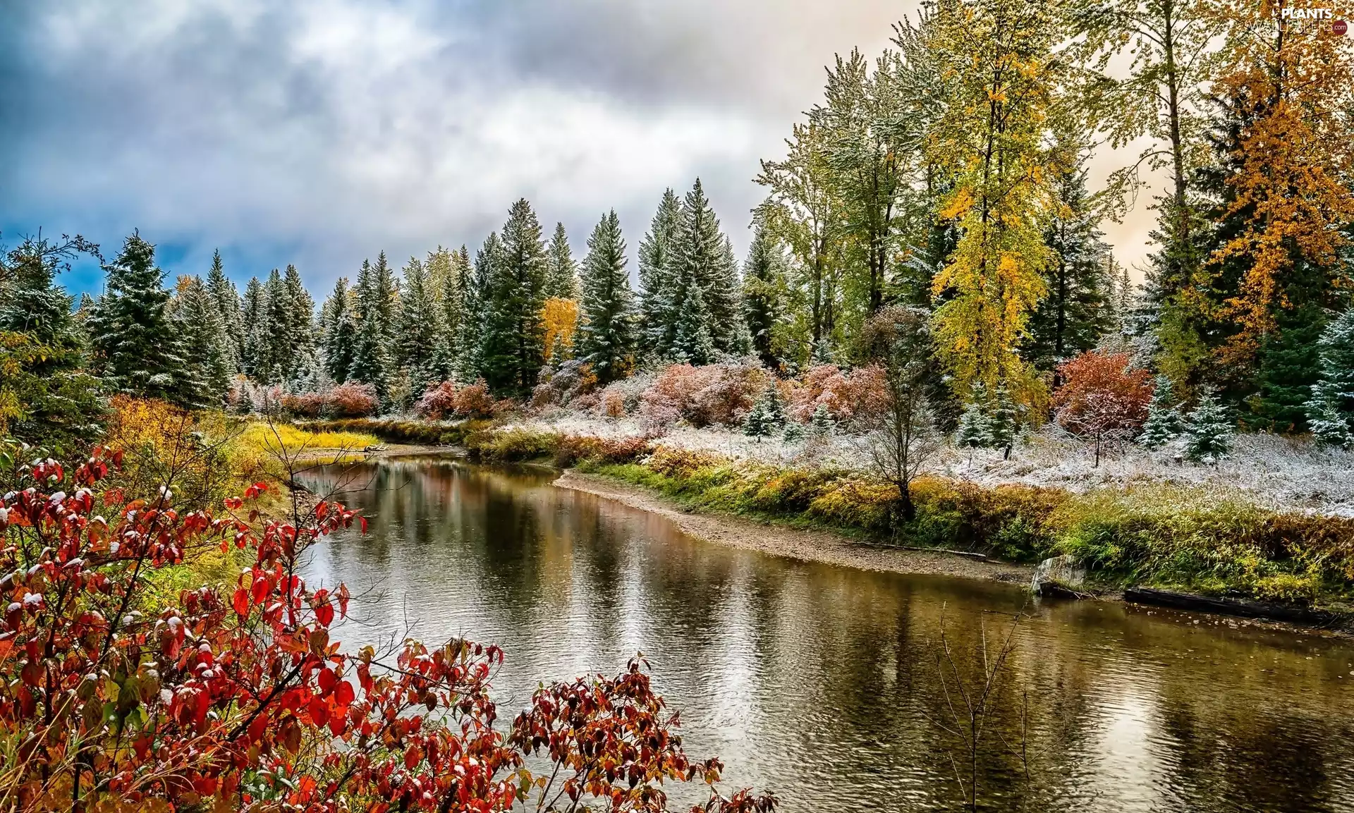trees, autumn, Bush, Snowy, River, viewes, clouds