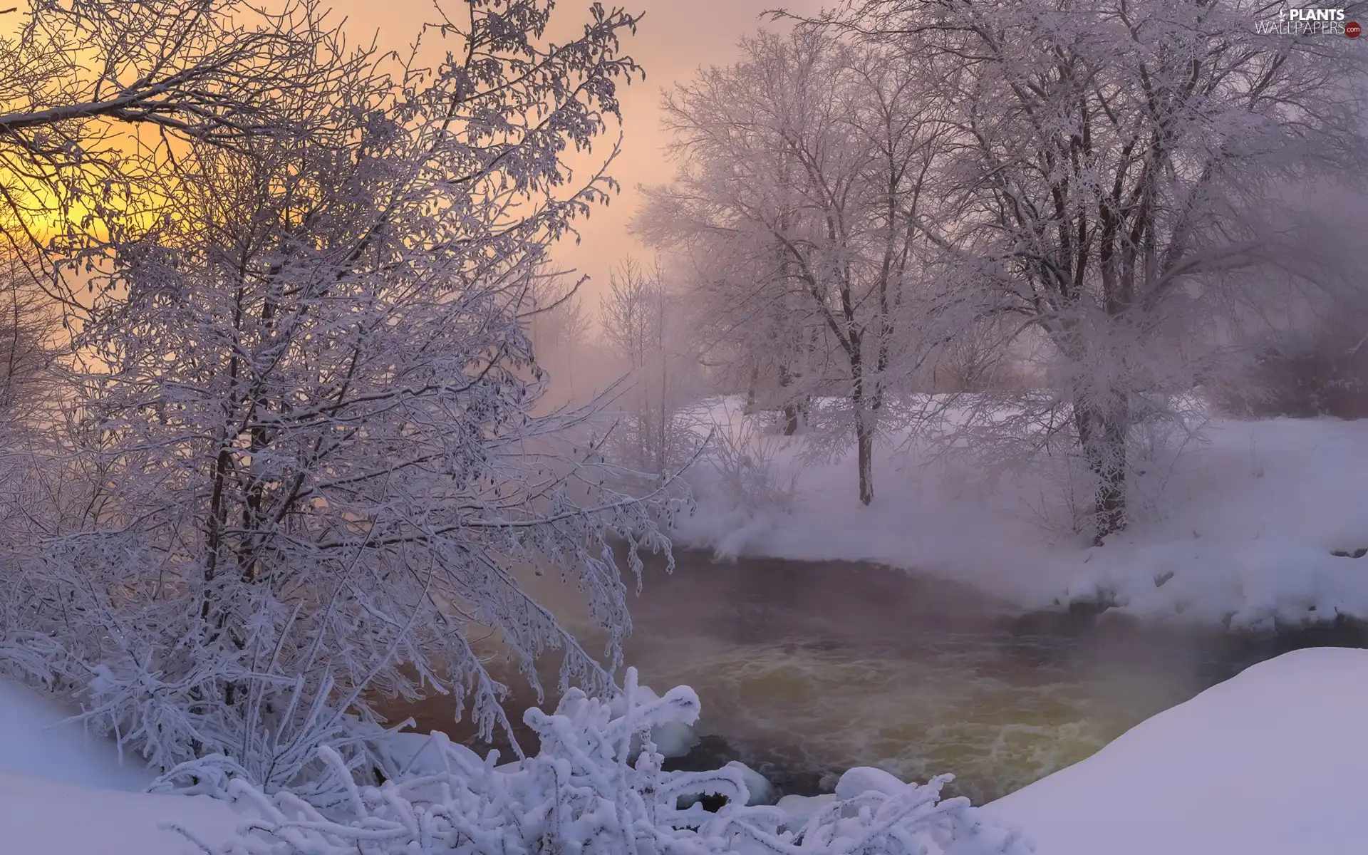 trees, River, Bush, Snowy, winter, viewes, Fog