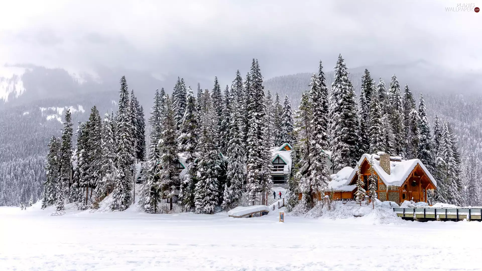 Yoho National Park, winter, house, bridge, Snowy, Canada, trees, viewes, Mountains