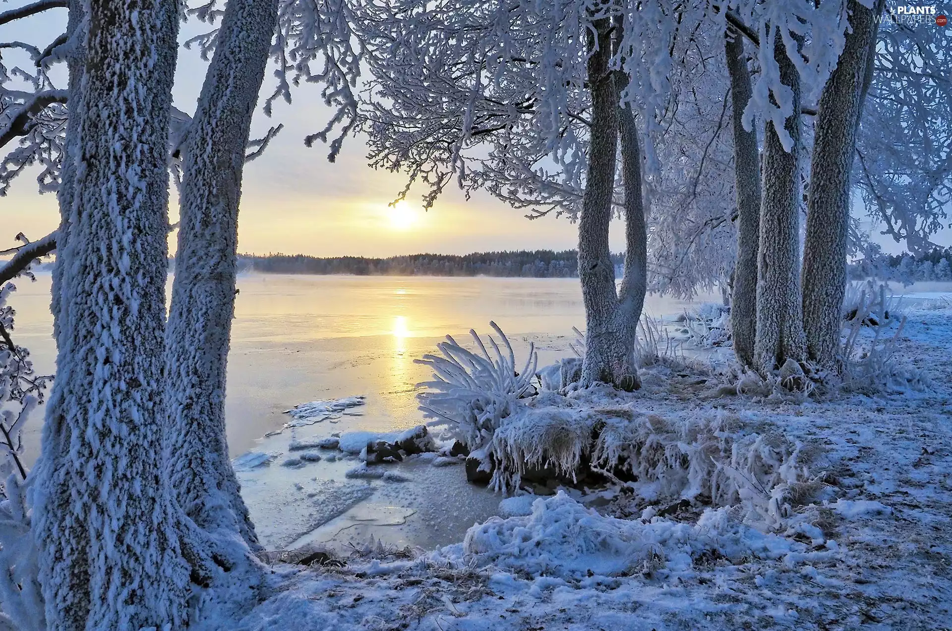 Etelä-Savo Region, Finland, Savonlinna City, lake, viewes, Sunrise, Snowy, trees, winter