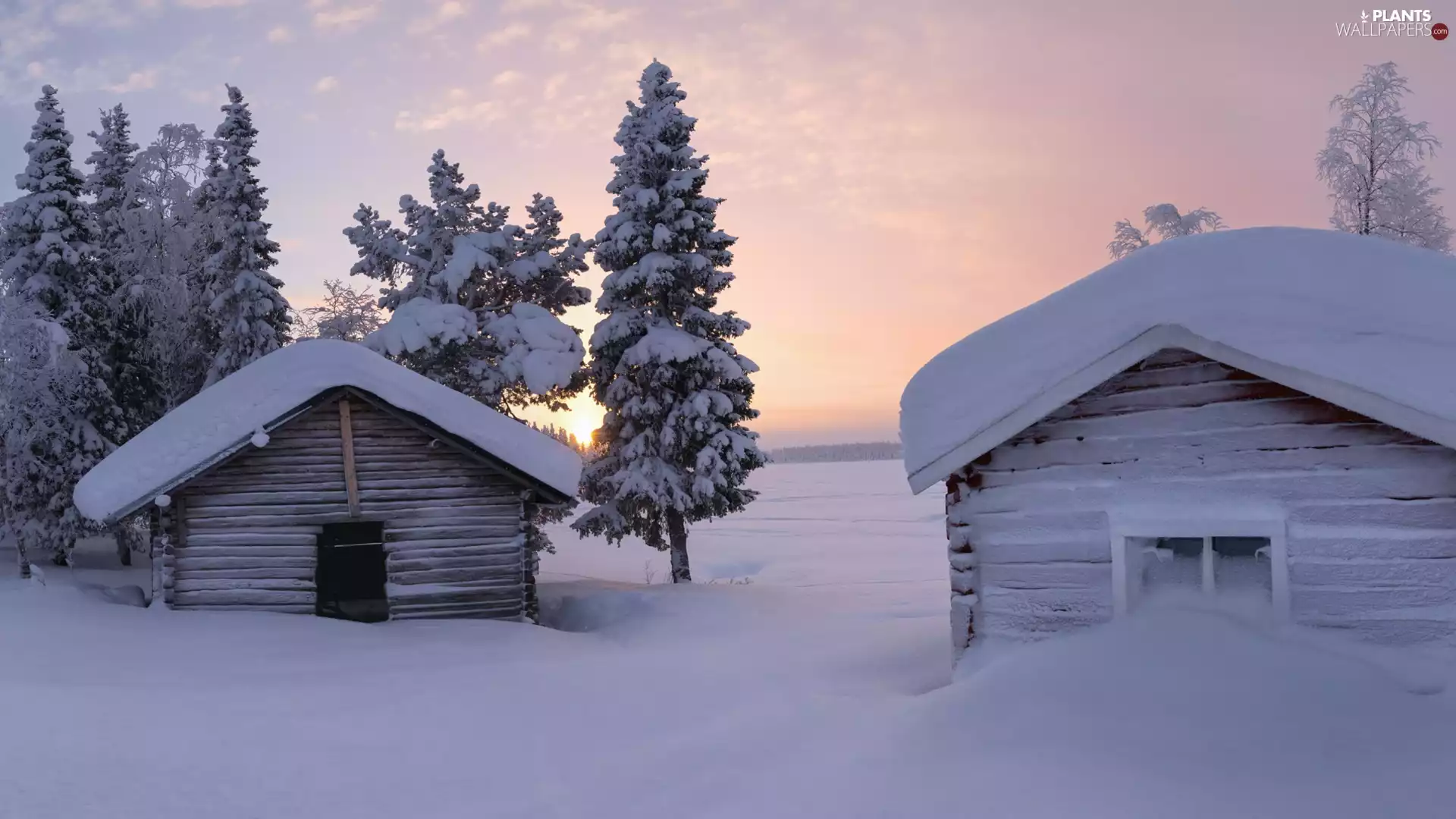 trees, house, Sunrise, Snowy, winter, viewes, clouds