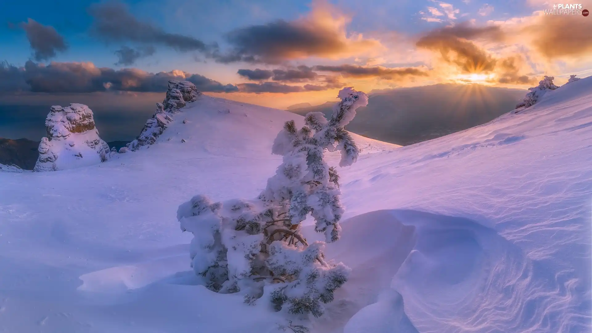 trees, Mountains, Sunrise, Snowy, winter, viewes, clouds