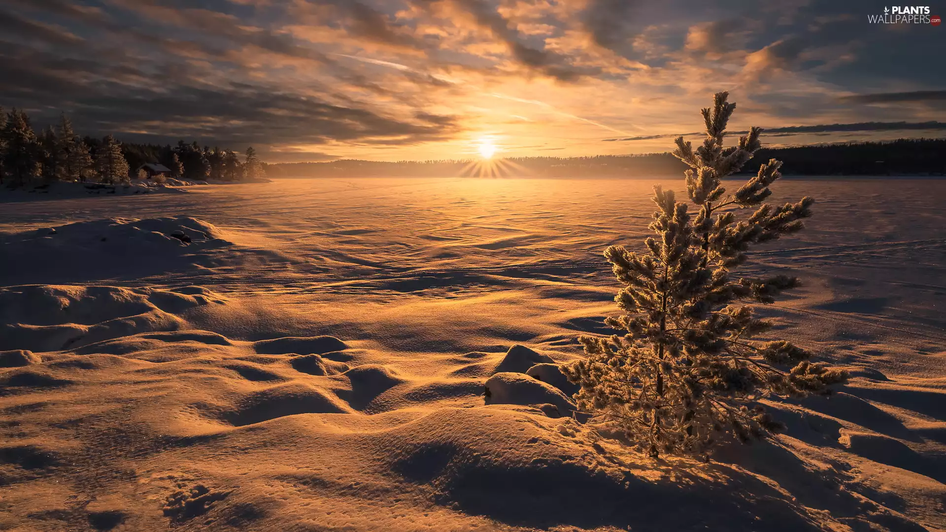 snowy, lake, Norway, trees, Ringerike, Great Sunsets, winter, viewes