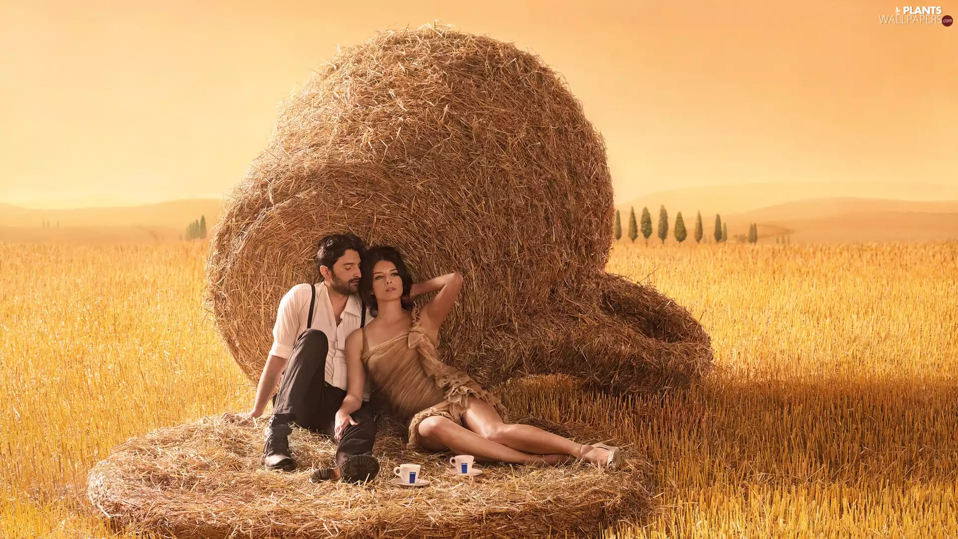 a man, Field, snuggled, Women, Steam