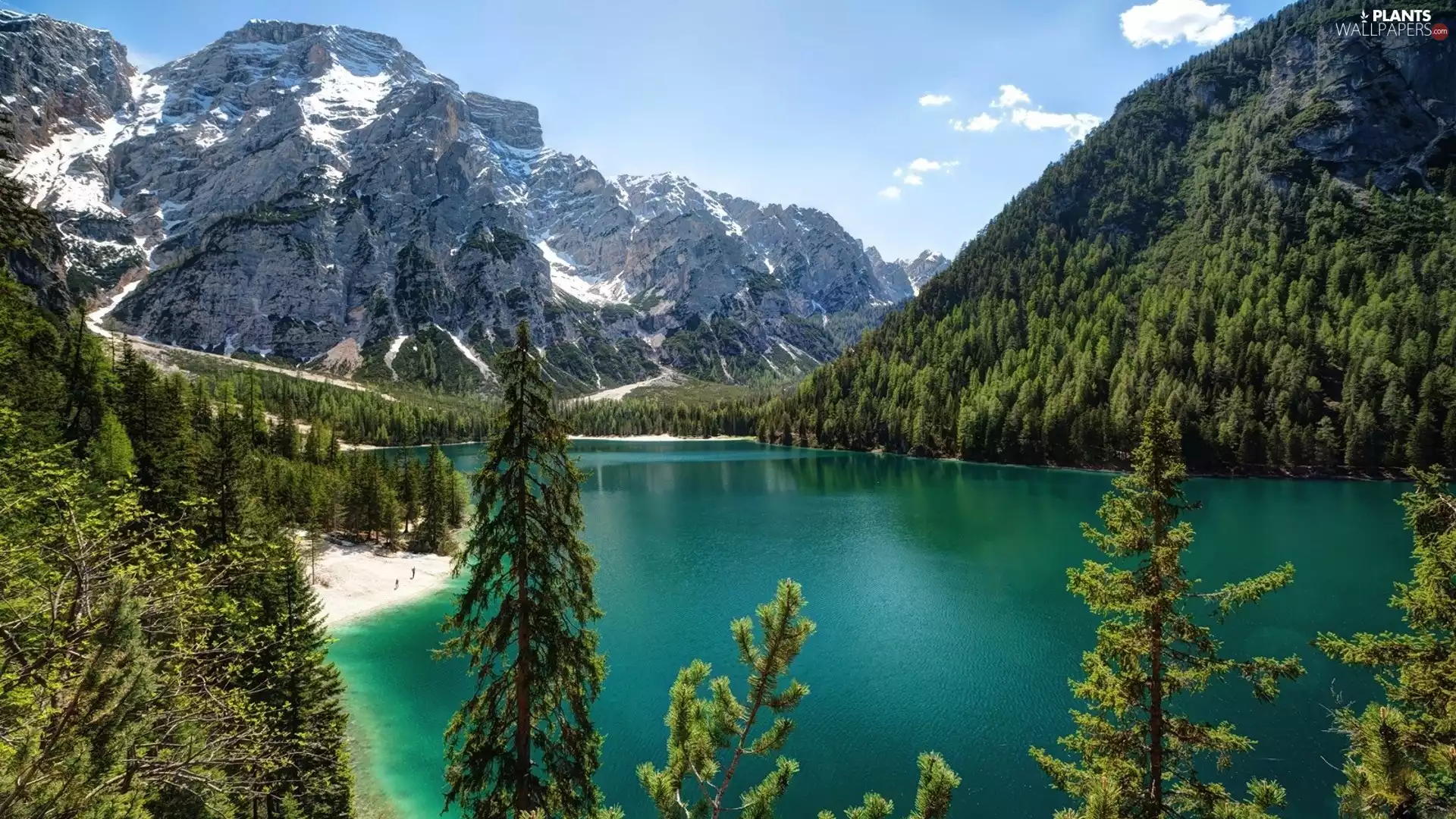 South Tyrol, Pragser Wildsee Lake, trees, viewes, Italy, Dolomites Mountains