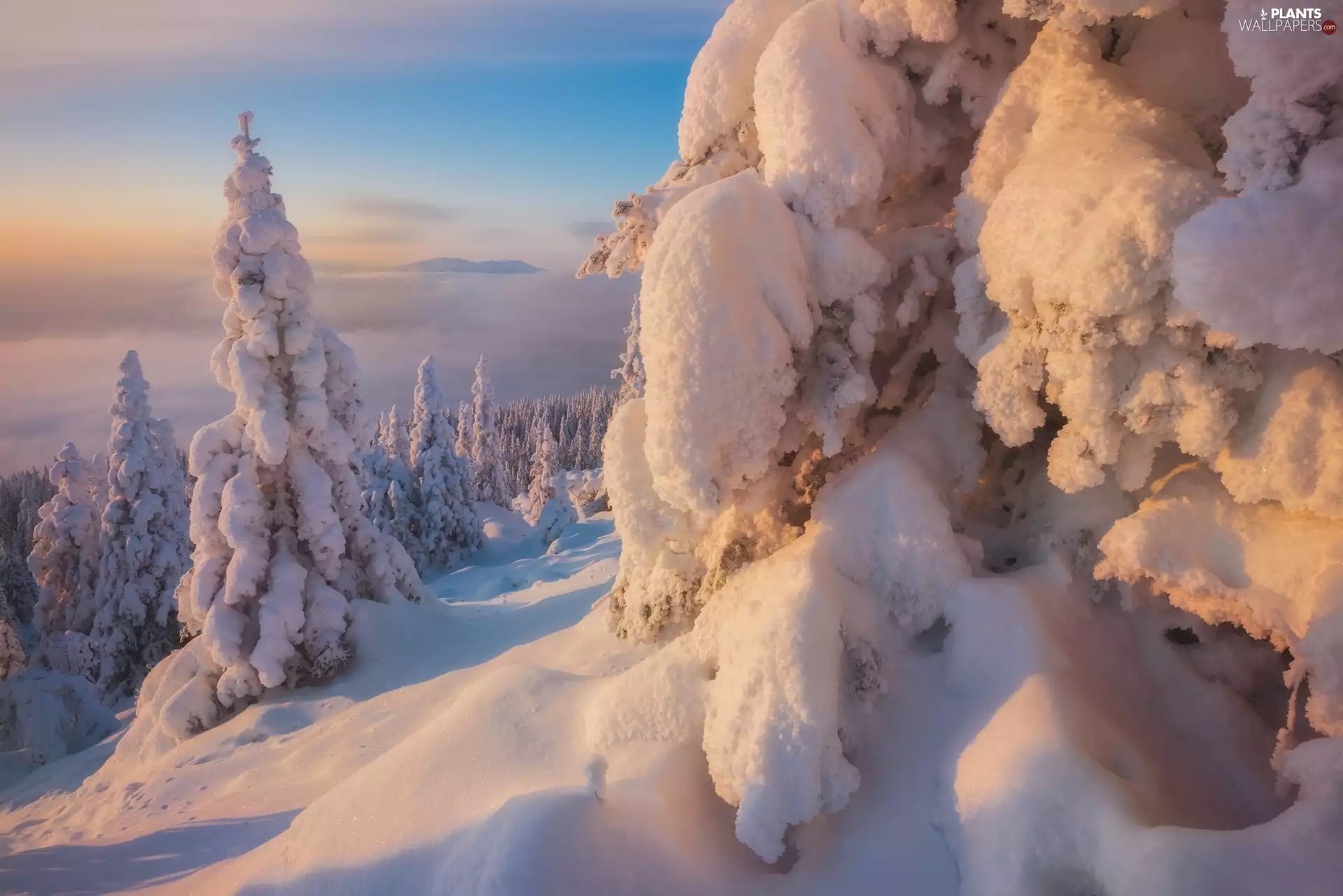 South Ural, winter, drifts, Snowy, viewes, Ural Mountains, Russia, trees