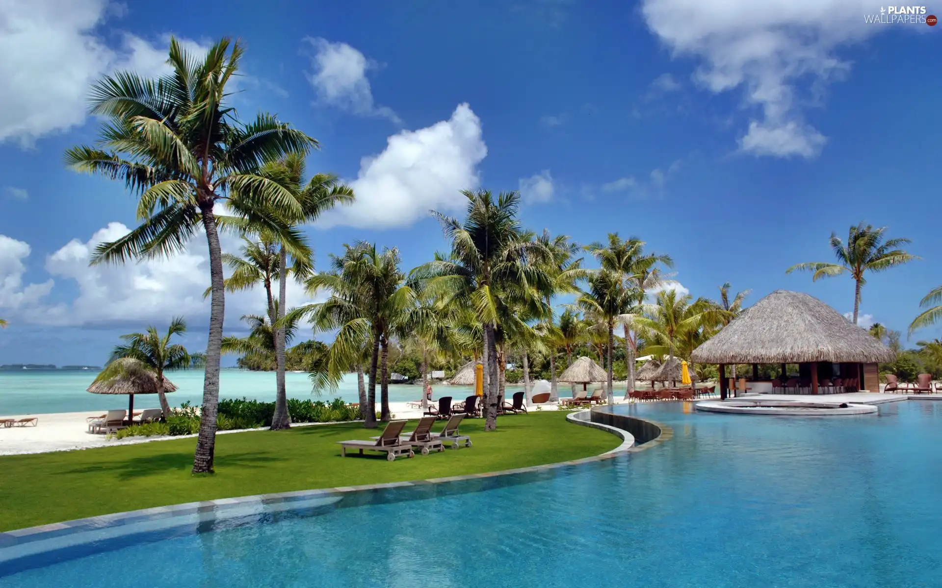 spa, Bora Bora, Palms, Pool, Ocean