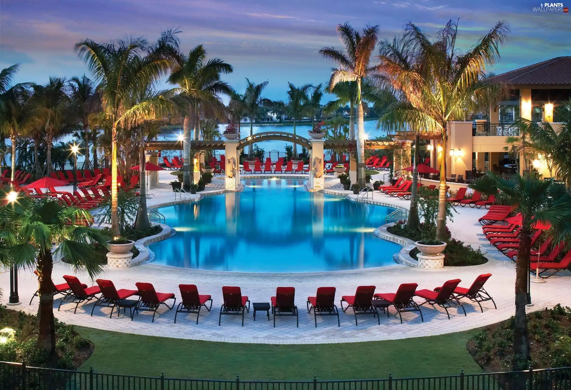 Palms, tropic, Pool, spa, Hotel hall