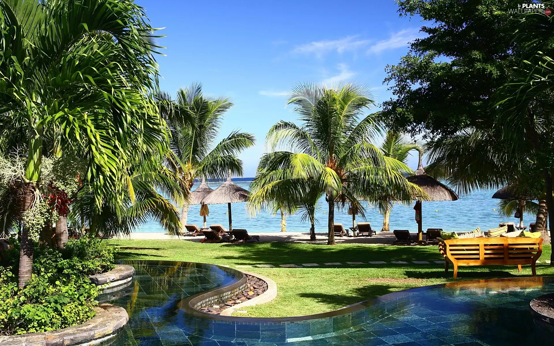 Ocean, Palms, tropic, spa