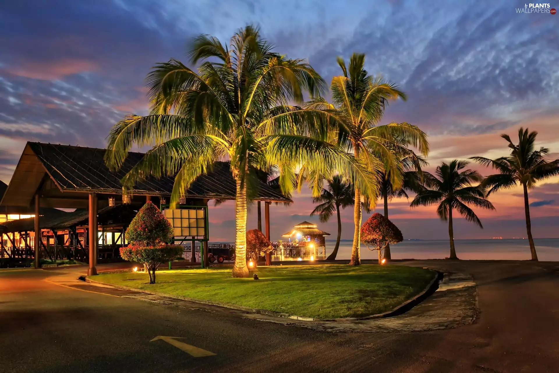Tropical, evening, Palms, spa
