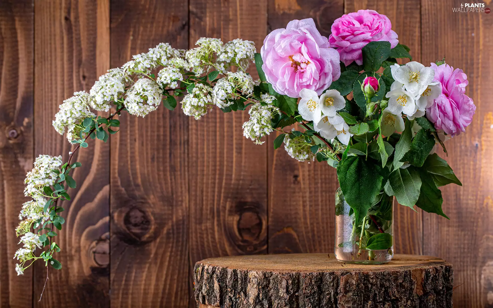 Spiraea, roses, boarding, Mock Orange, Wood, Vase, bouquet, stump