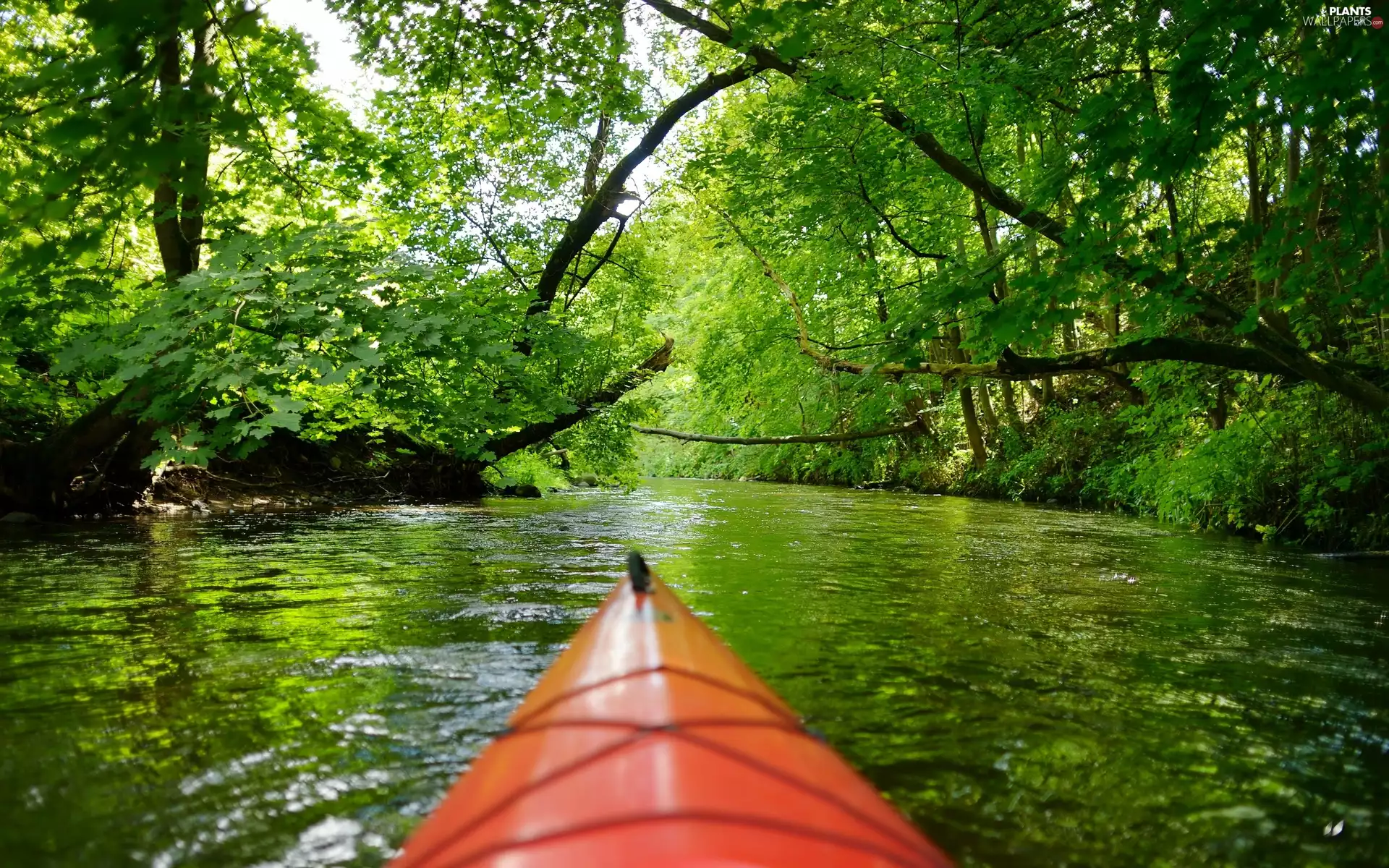 viewes, Spring, Boat, trees, River