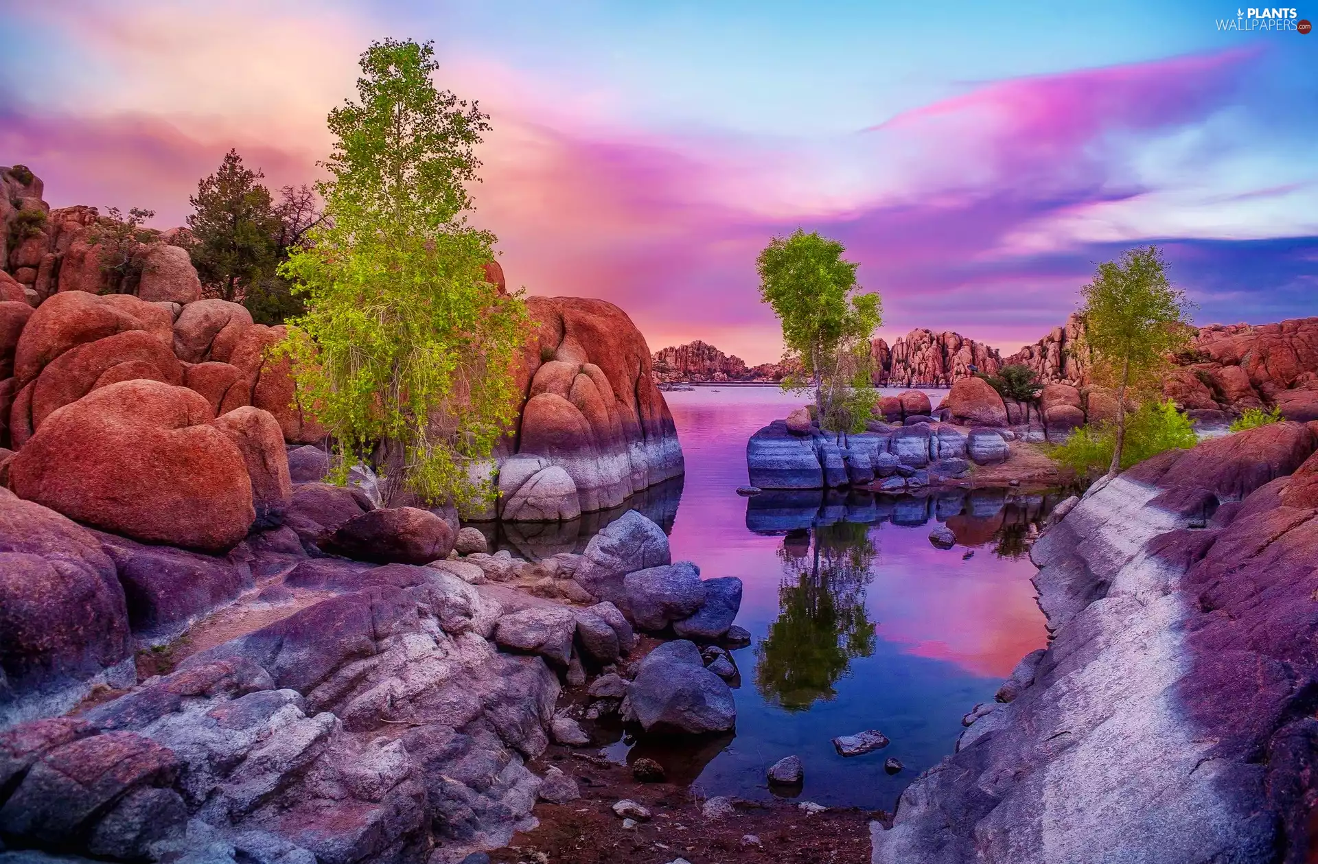 viewes, Spring, boulders, trees, River