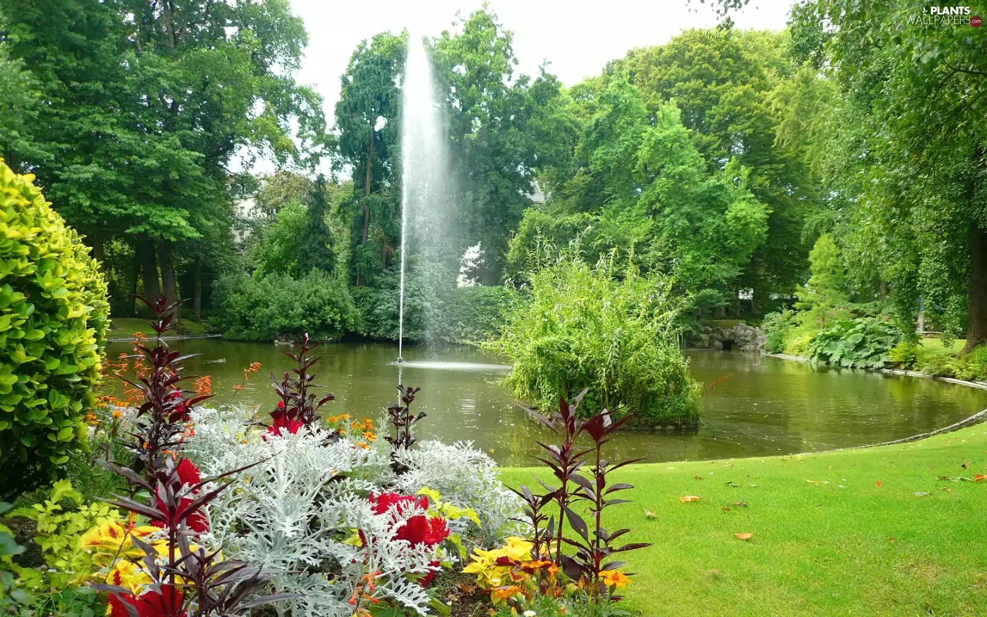trees, Pond - car, Flowers, fountain, Park, viewes, Spring