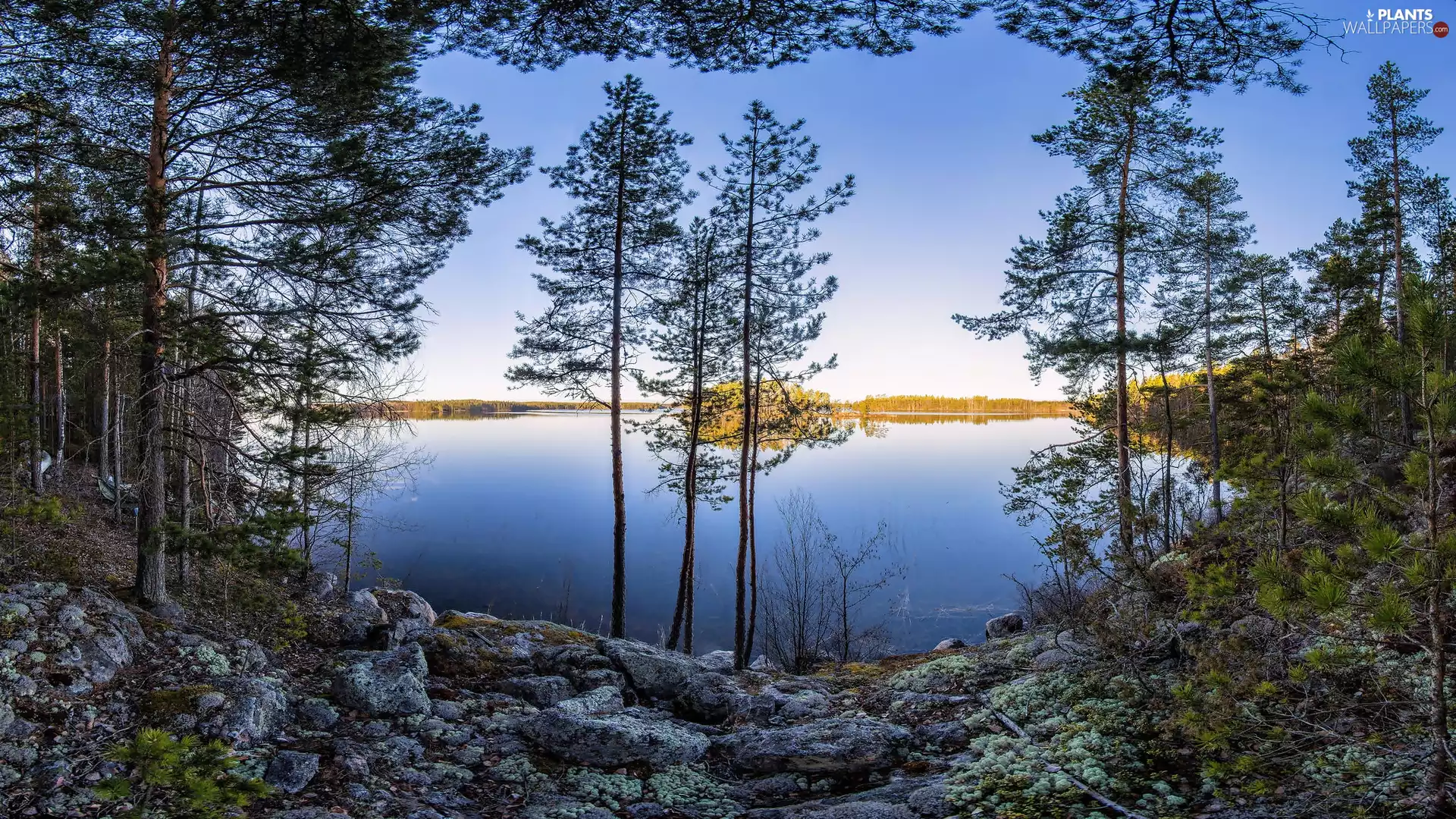 woods, trees, Great Sunsets, viewes, lake, Stones, Spring