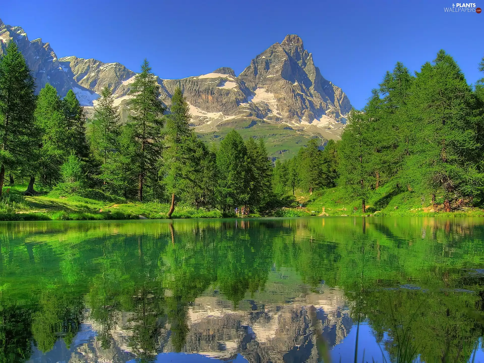 trees, lake, reflection, Spring, viewes, Mountains