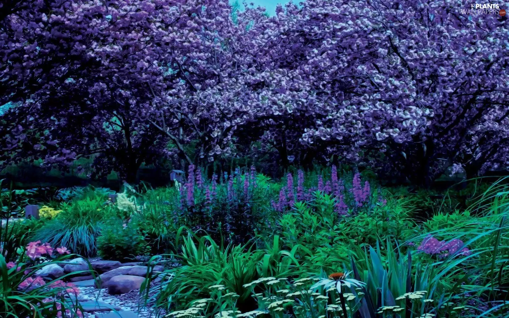Flowers, Garden, viewes, Spring, trees, stream