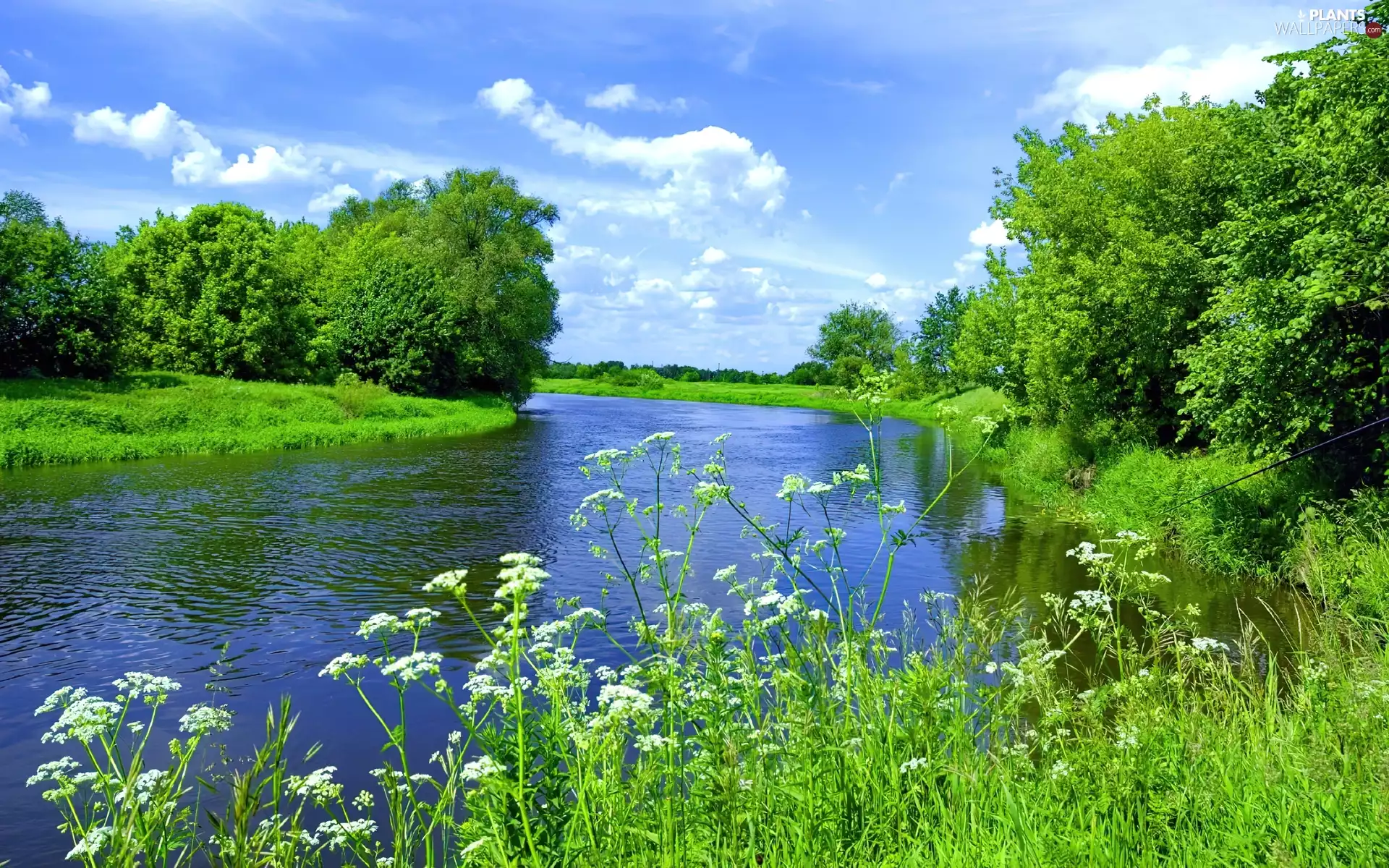 viewes, River, clouds, Spring, Flowers, trees