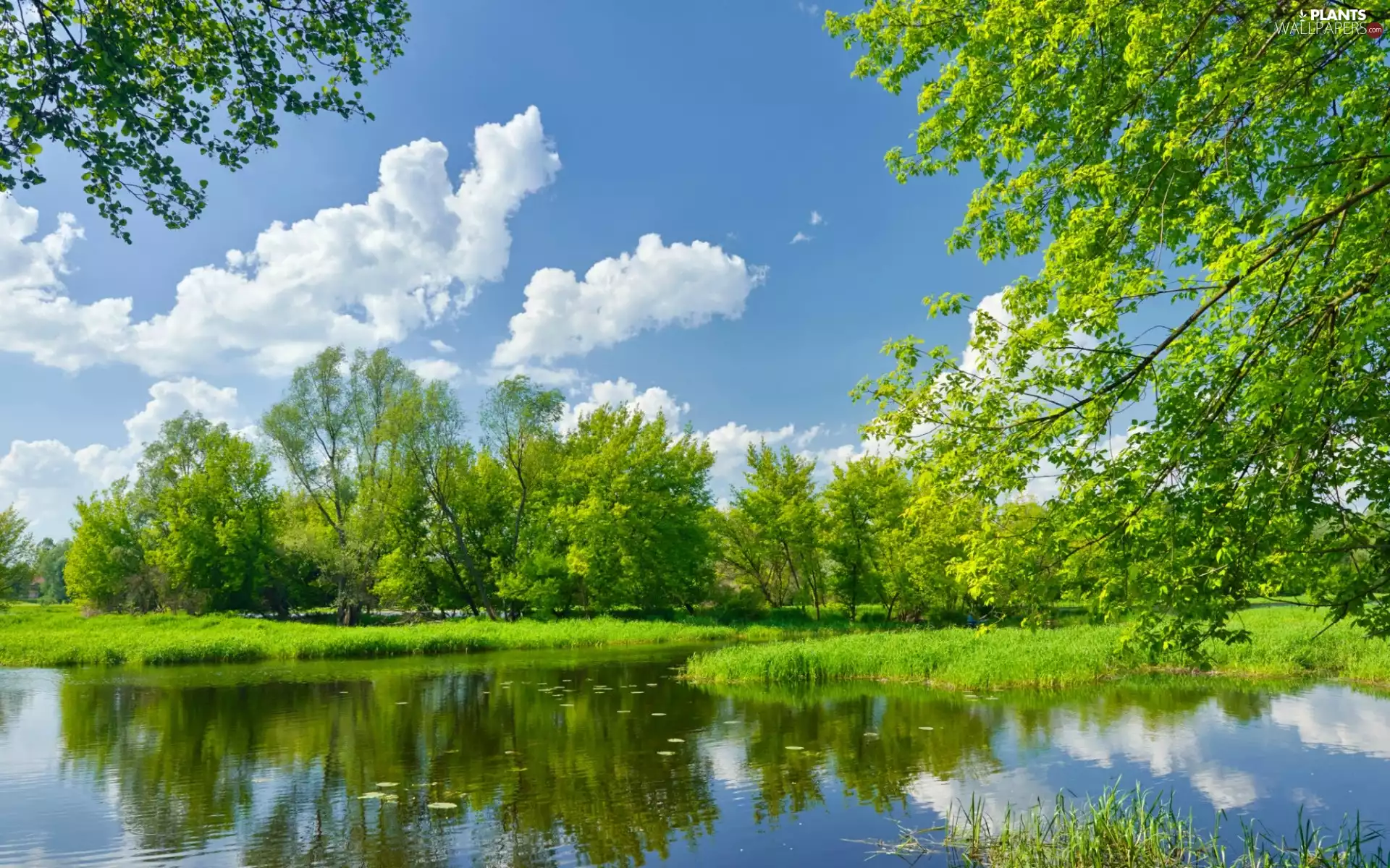 clouds, Spring, trees, viewes, River