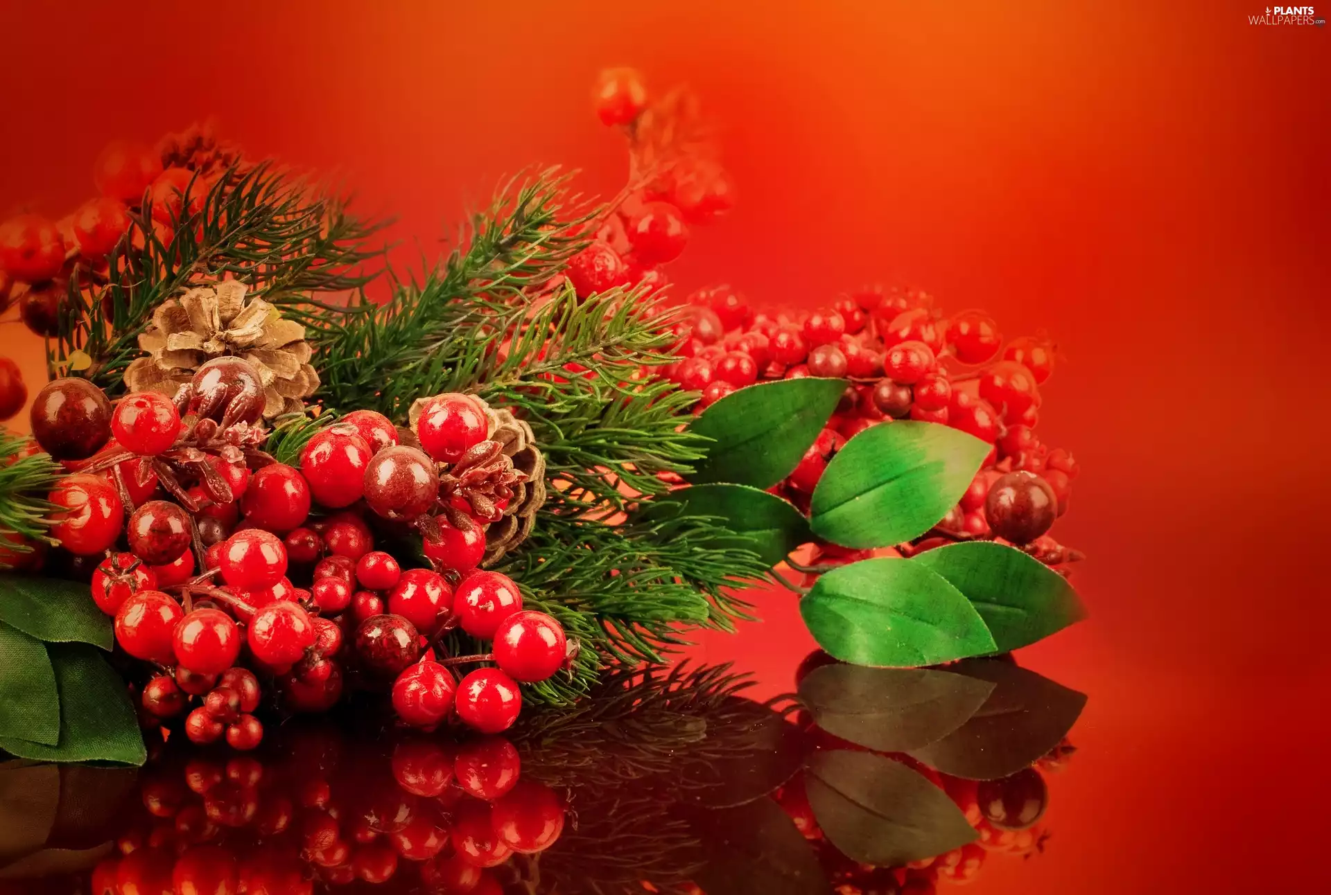 spruce, headdress, blueberries