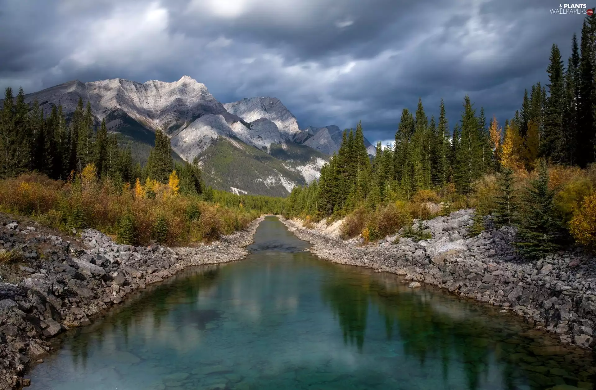 Stones, Mountains, viewes, Spruces, trees, River