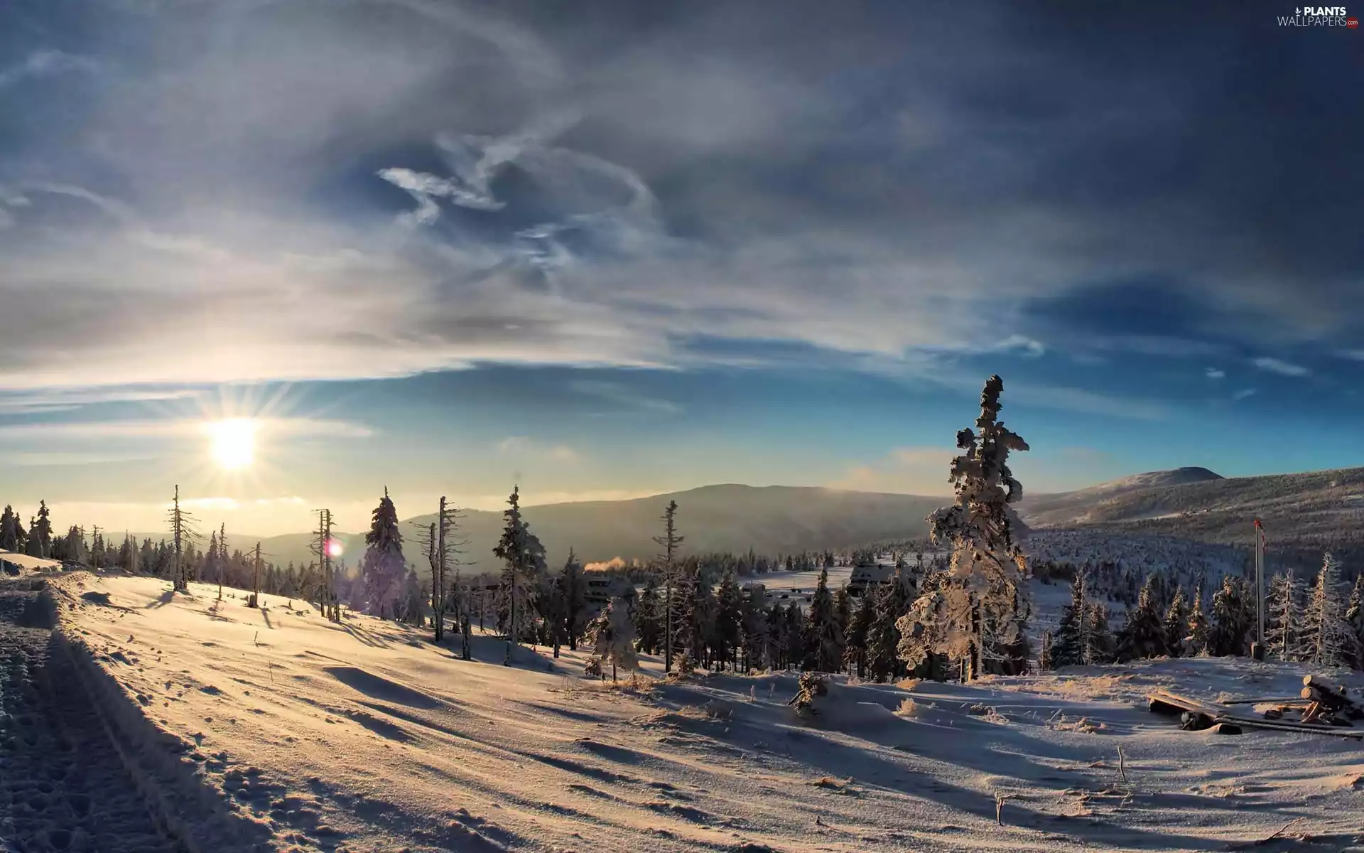 winter, Spruces, sun, Mountains, east