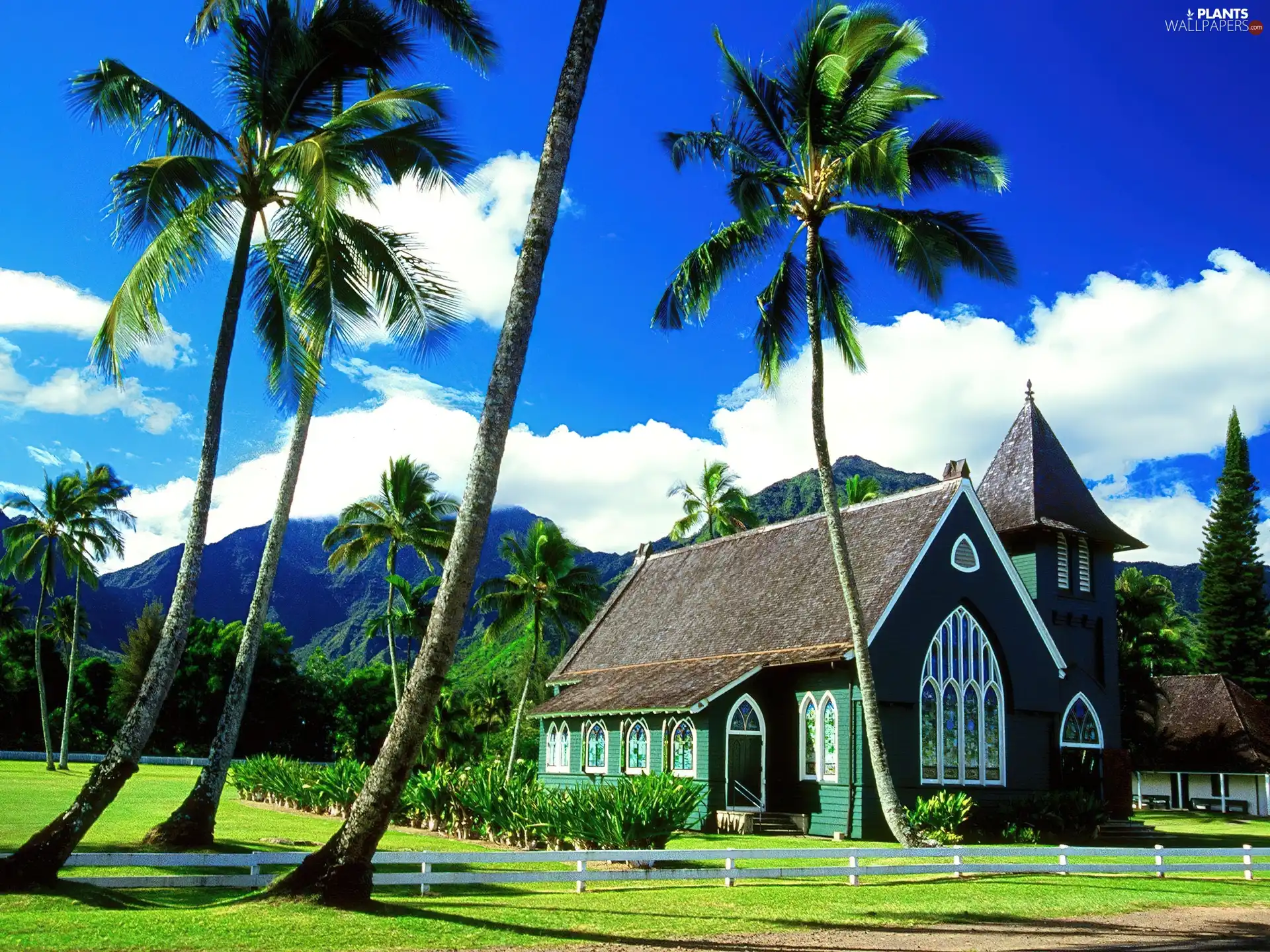 Palms, house, stained glass