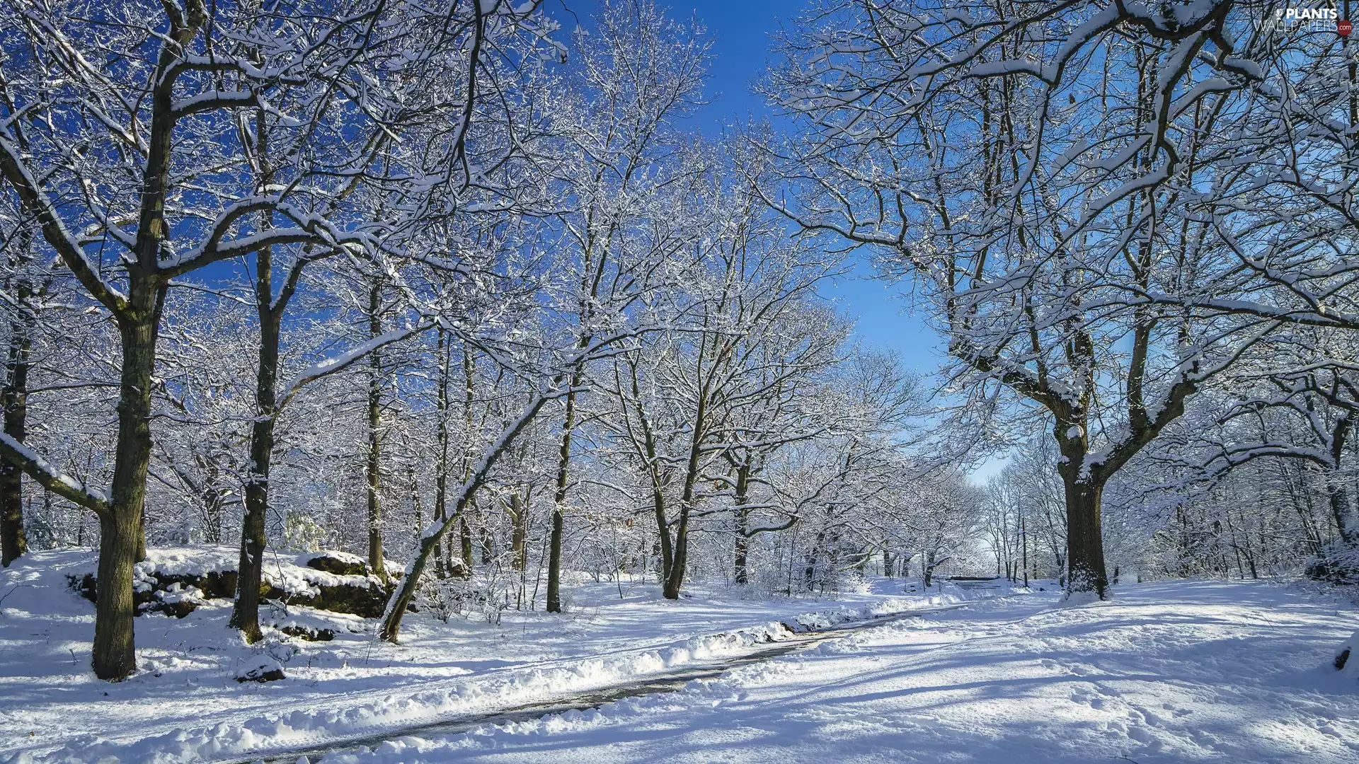 trees, winter, lane, Stairs, viewes, Park