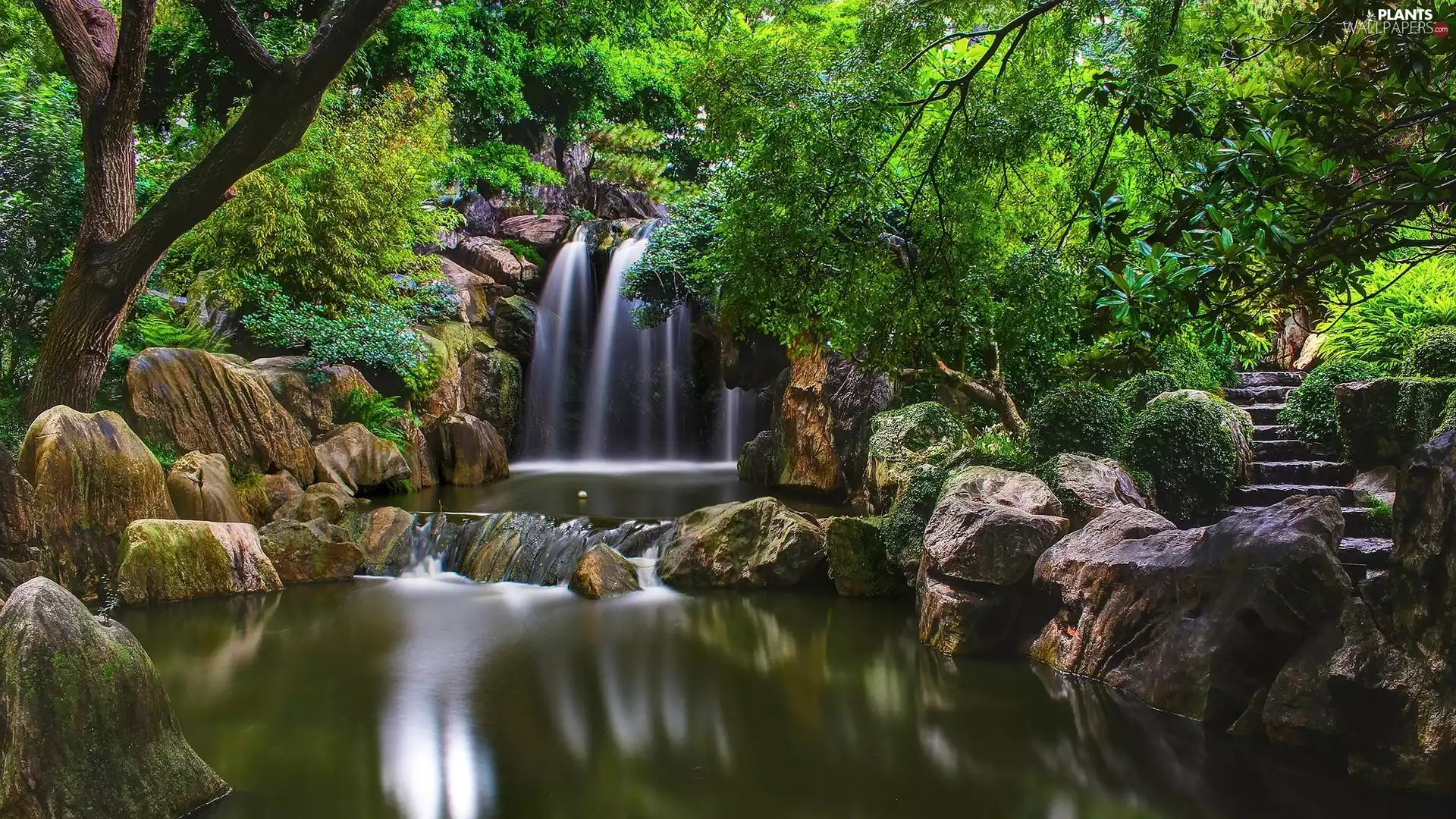 viewes, Stairs, Stones, trees, waterfall