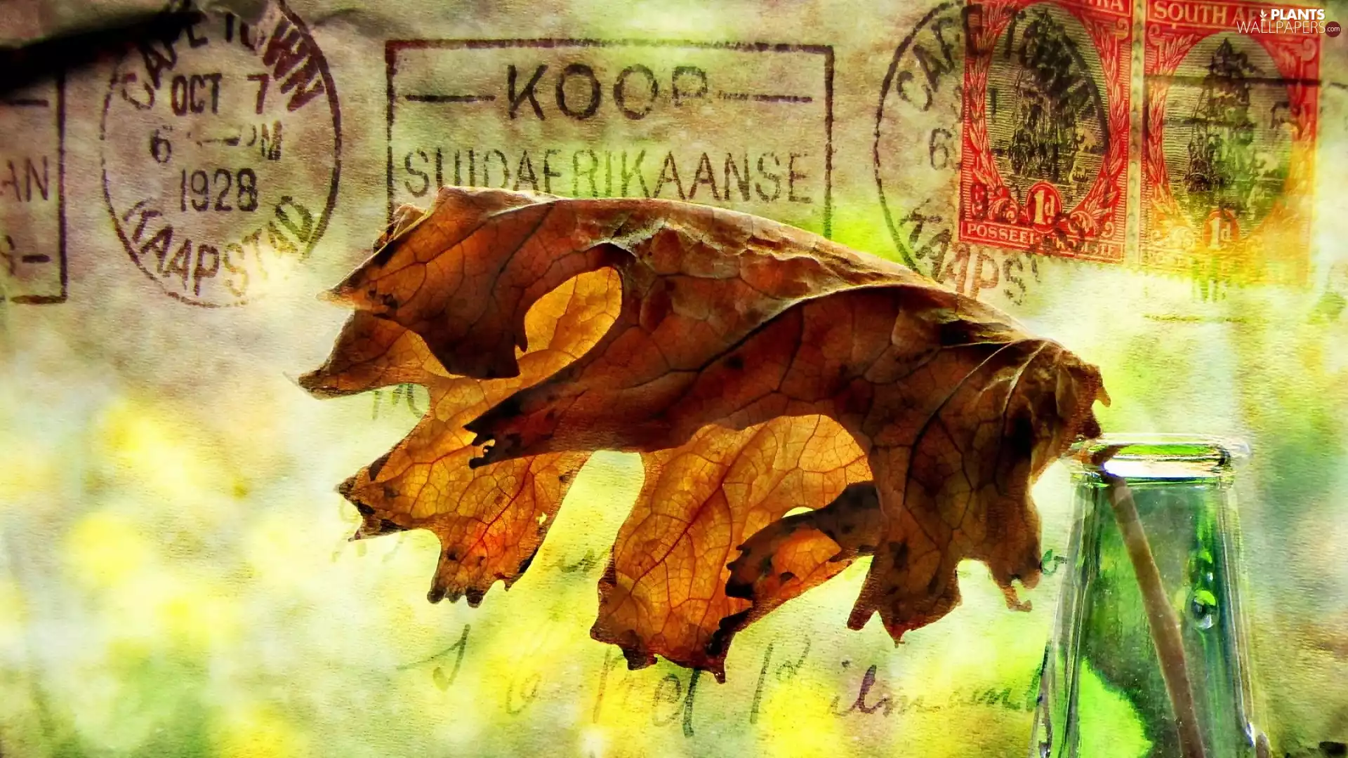 stamps, Stamps, leaf, Bottle, composition