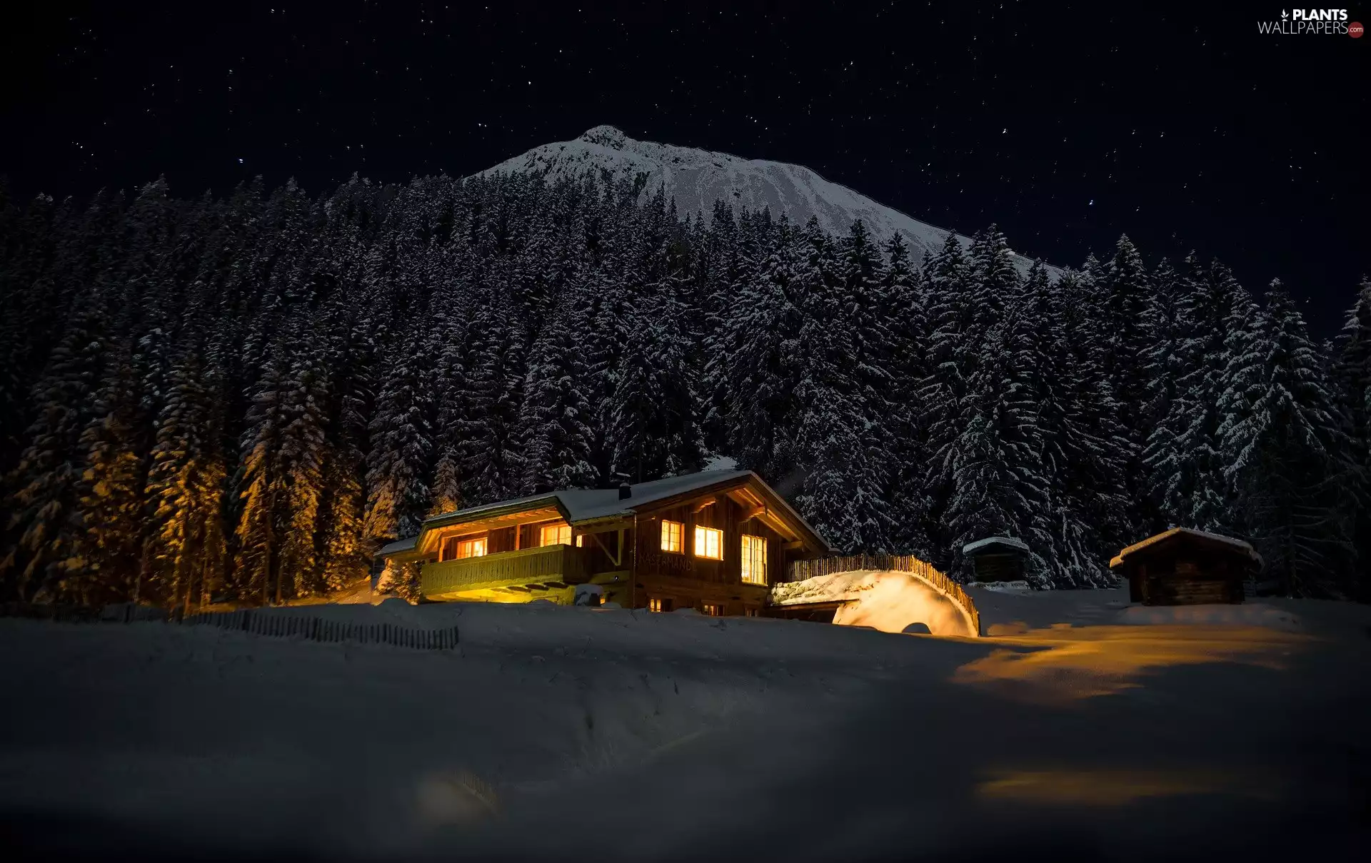 forest, trees, Mountains, viewes, Night, house, winter, star