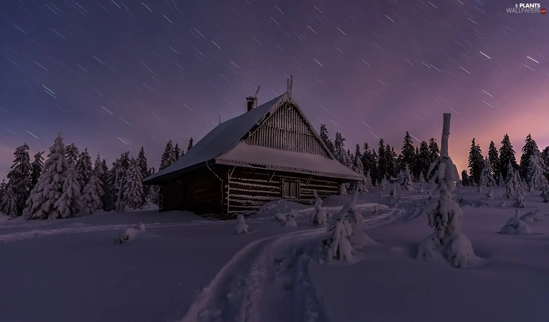 viewes, snowy, snow, house, Night, trees, winter, star