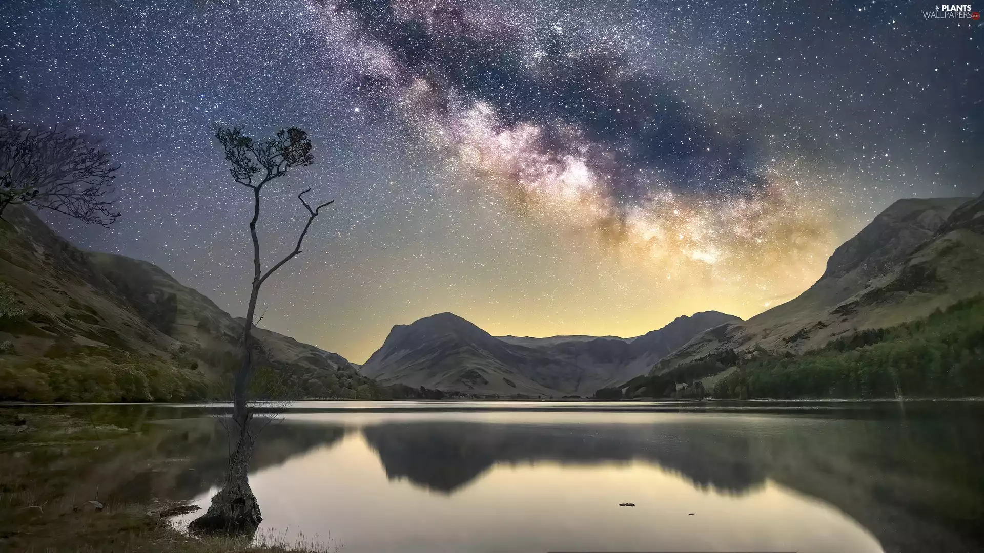 Star way, star, Mountains, Night, rocks, coast, reflection, trees, lake