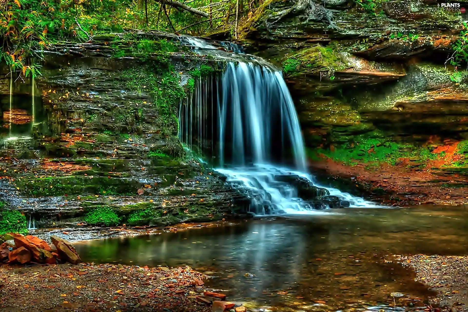 Lost Creek Falls, The United States, mosses, lake, rocks, State of Wisconsin