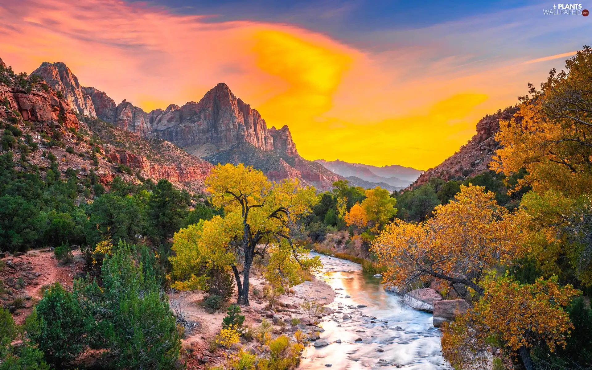 autumn, Watchman Mountains, Stones, Utah State, trees, Zion National Park, Virgin River, The United States, Great Sunsets, viewes