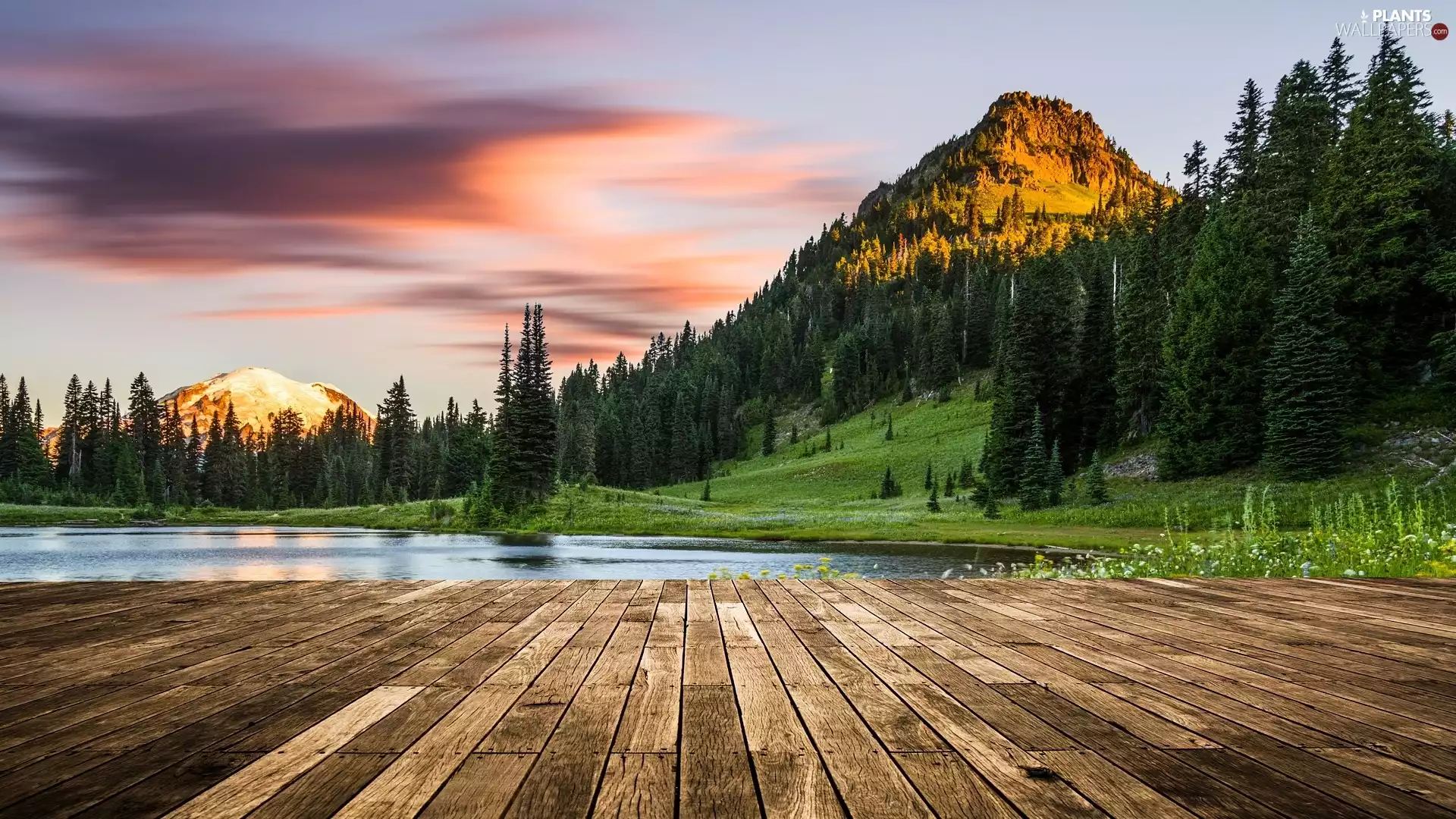 forest, trees, The United States, viewes, Washington State, Lake Tipsoo, Mount Rainier National Park, Mountains