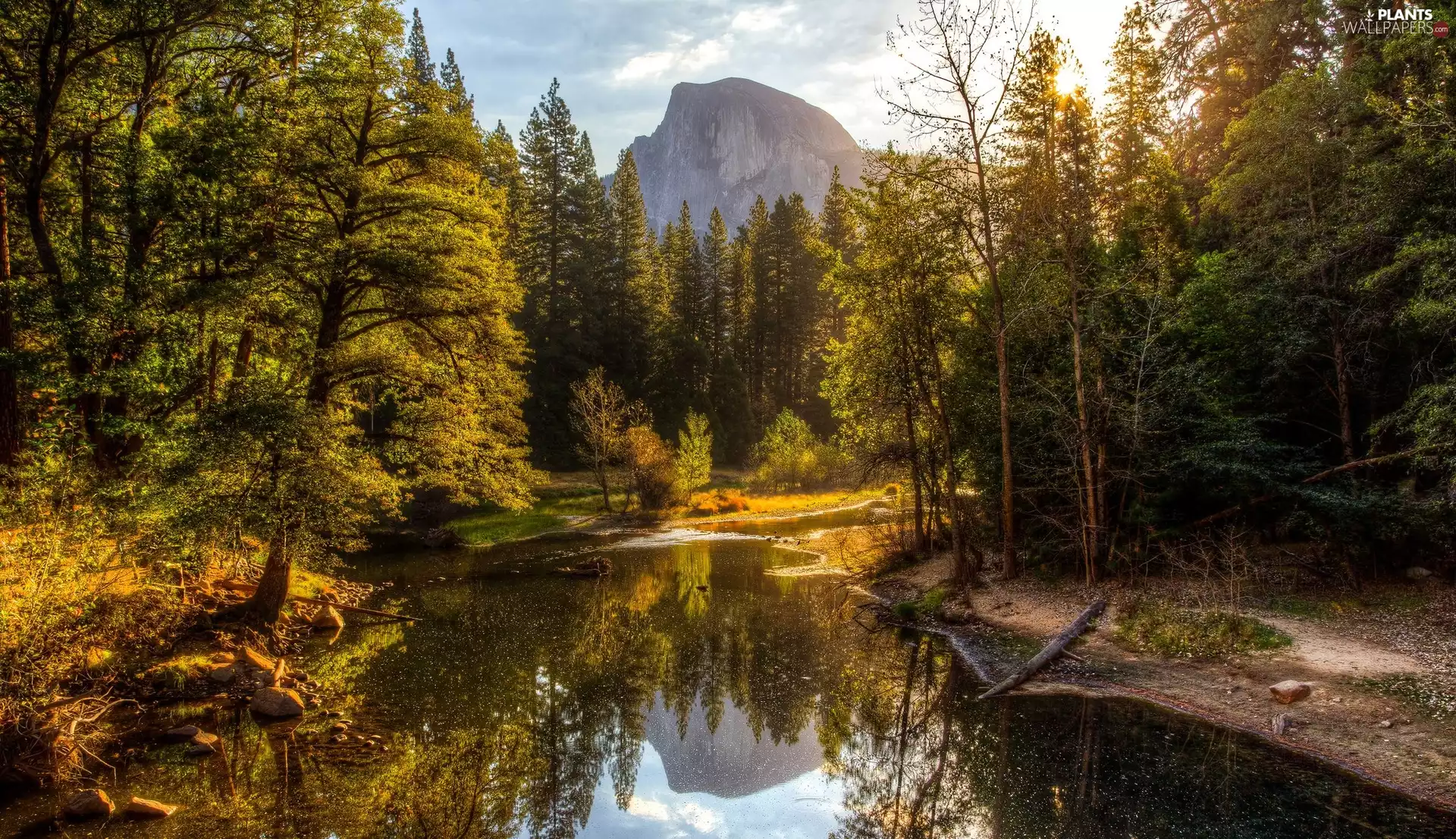 State of California, The United States, Yosemite National Park, autumn, Mountains, Half Dome Mountain, trees, viewes, Merced River