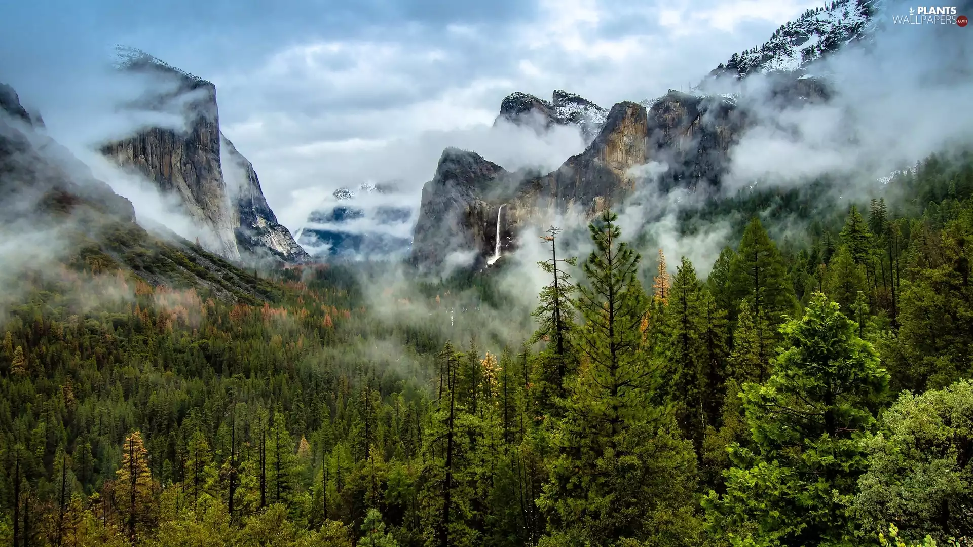 California, The United States, Yosemite National Park, Mountains, Valley, Fog, trees, viewes, rocks