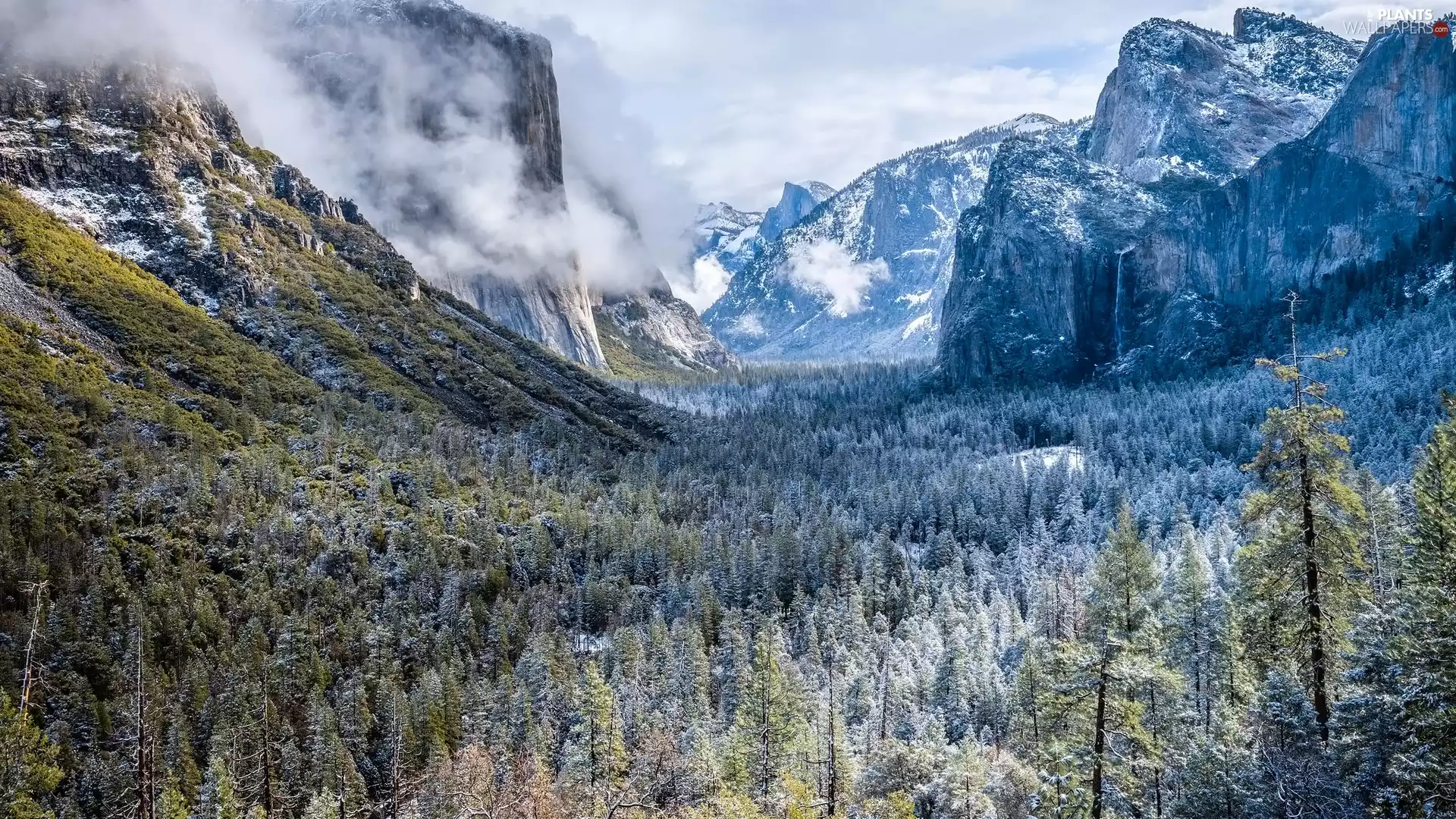 Mountains, winter, trees, viewes, California, The United States, El Capitan, Yosemite National Park, Rock Formation