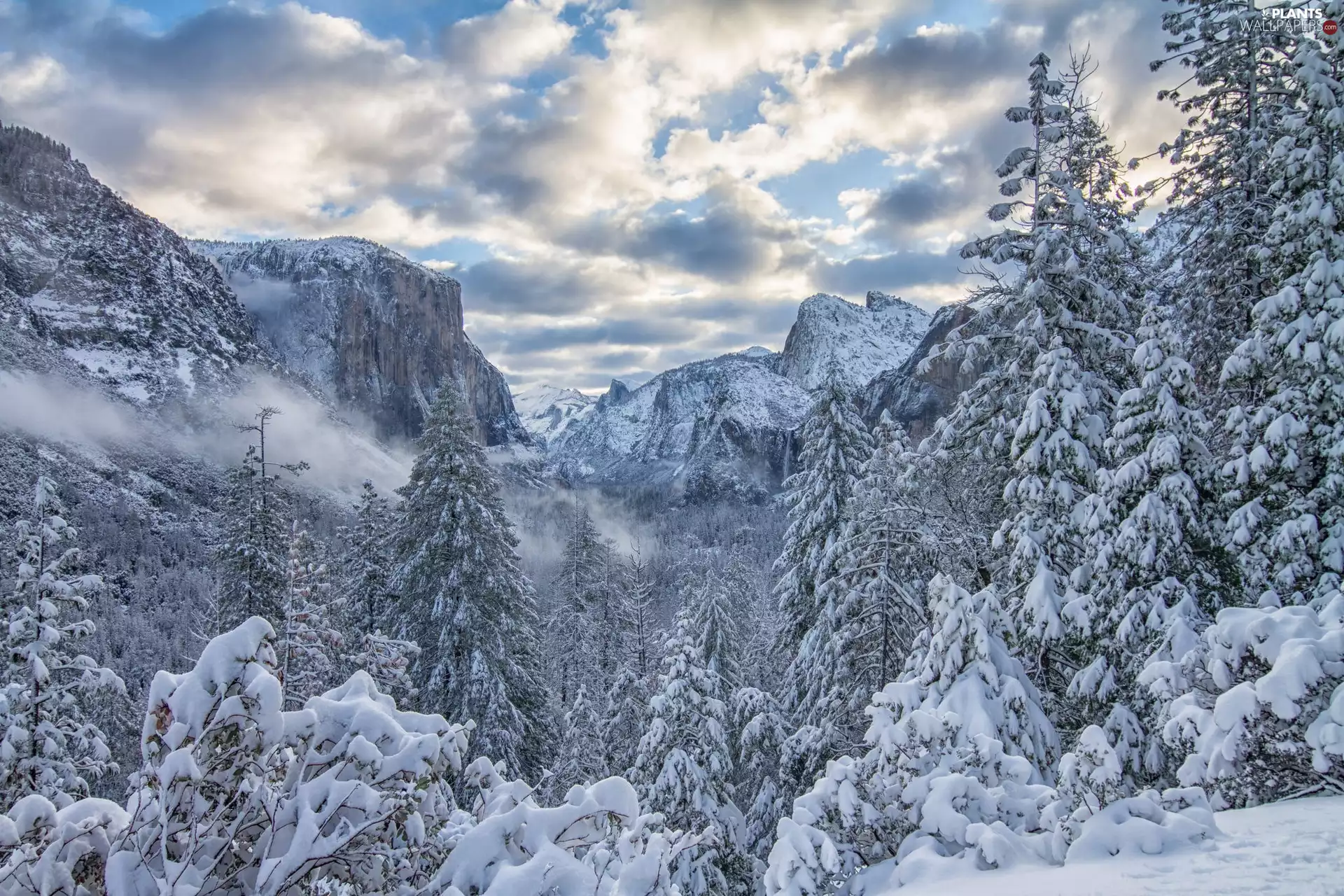 Sierra Nevada Mountains, trees, The United States, viewes, State of California, winter, Yosemite National Park, clouds