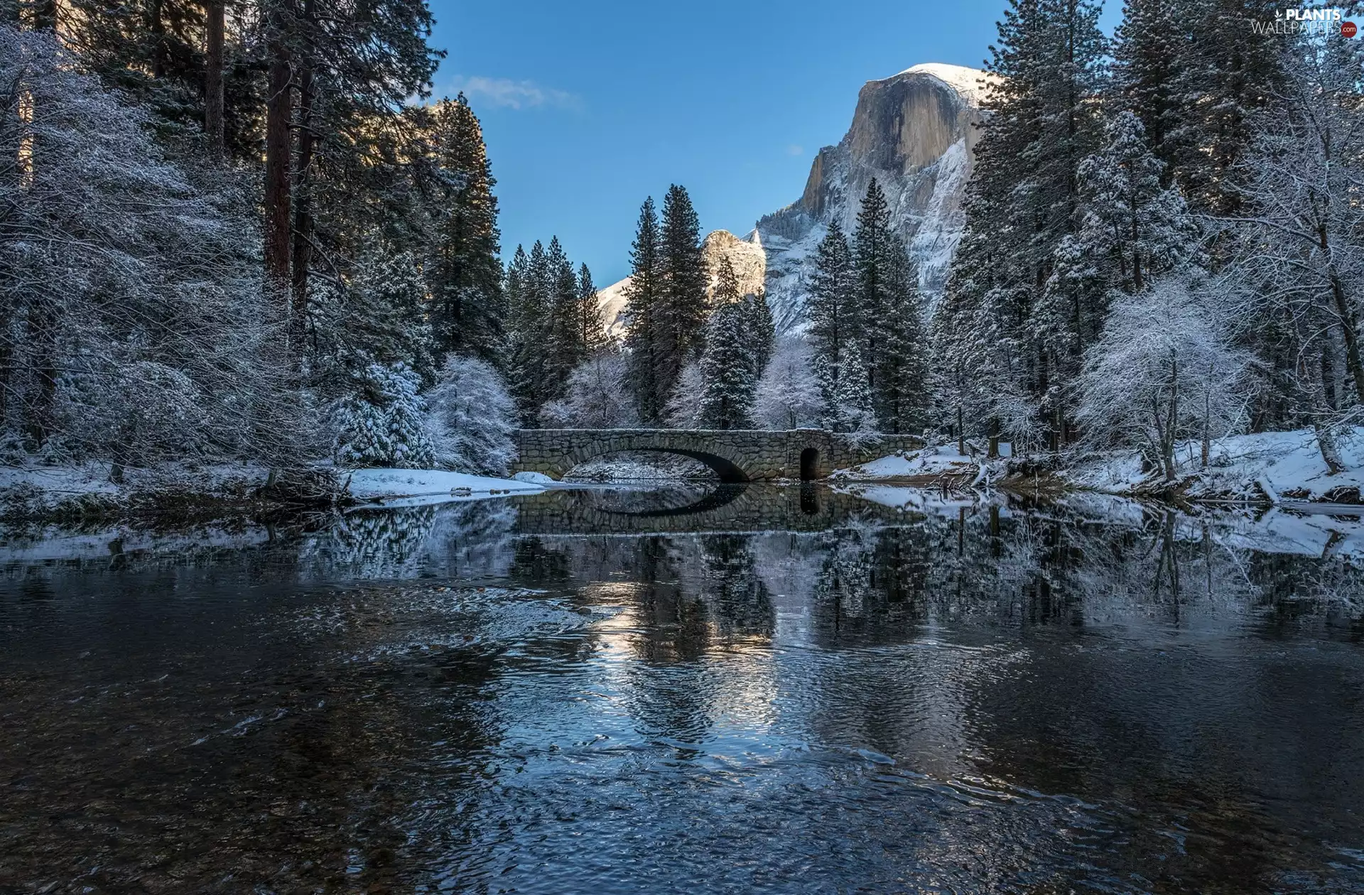 trees, winter, El Capitan Peak, State of California, Merced River, Yosemite National Park, Mountains, The United States, viewes, bridge