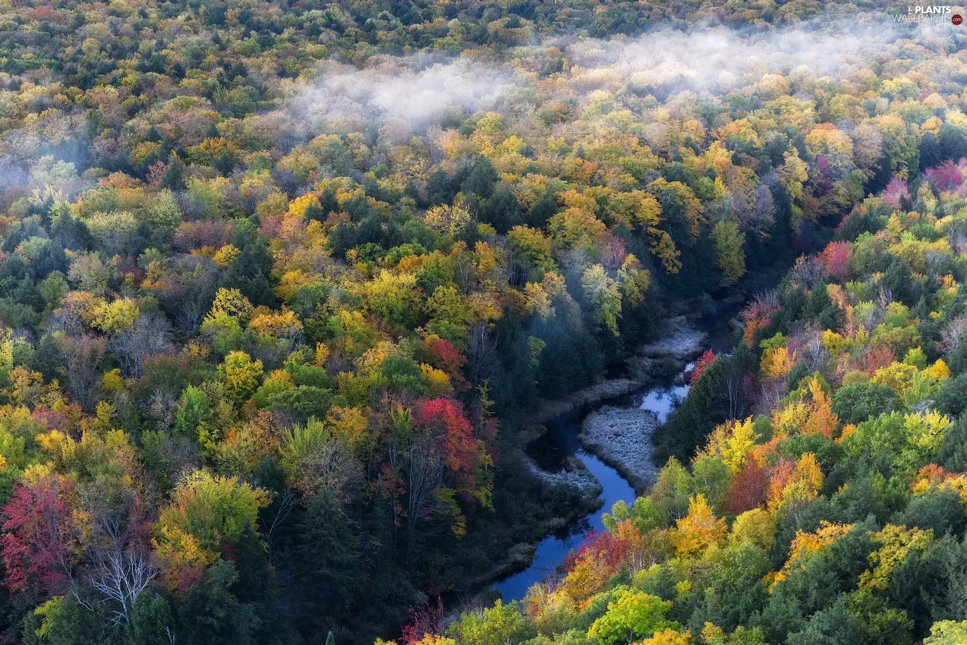 trees, Michigan, Carp River, River, autumn, The United States, Ontonagon County, Fog, viewes, forest