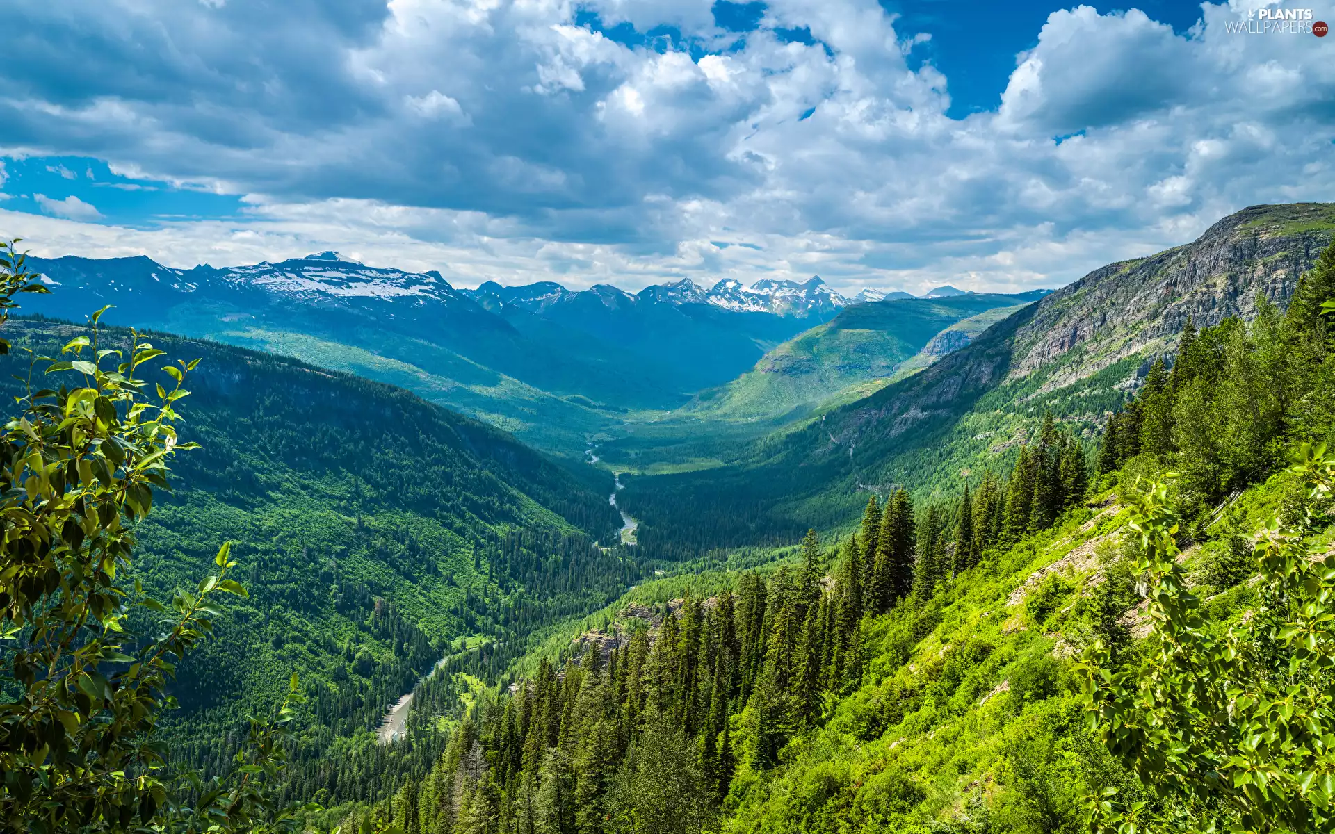 forest, rocky mountains, trees, viewes, Montana, The United States, clouds, Glacier National Park, Valley
