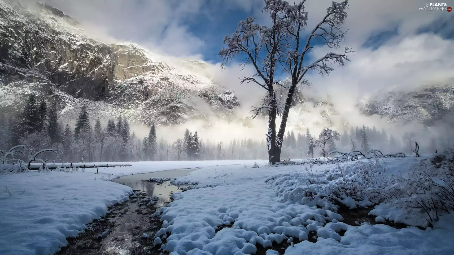 River, winter, viewes, trees, Fog, The United States, California, Mountains, snow, Yosemite National Park, Mountains