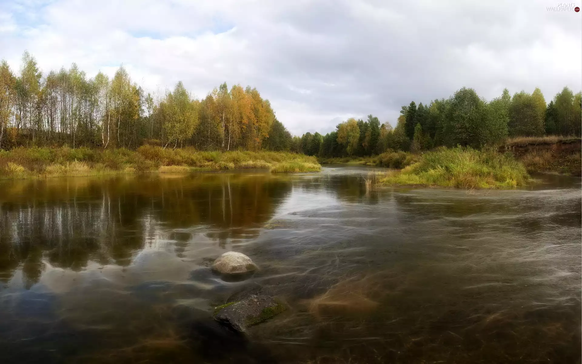 trees, autumn, grass, Stone, viewes, River