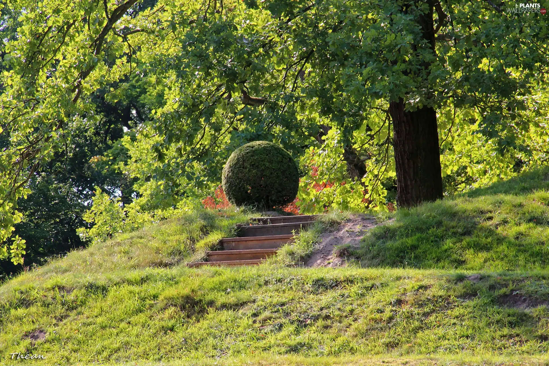 viewes, Park, Stone, Stairs, grass, trees