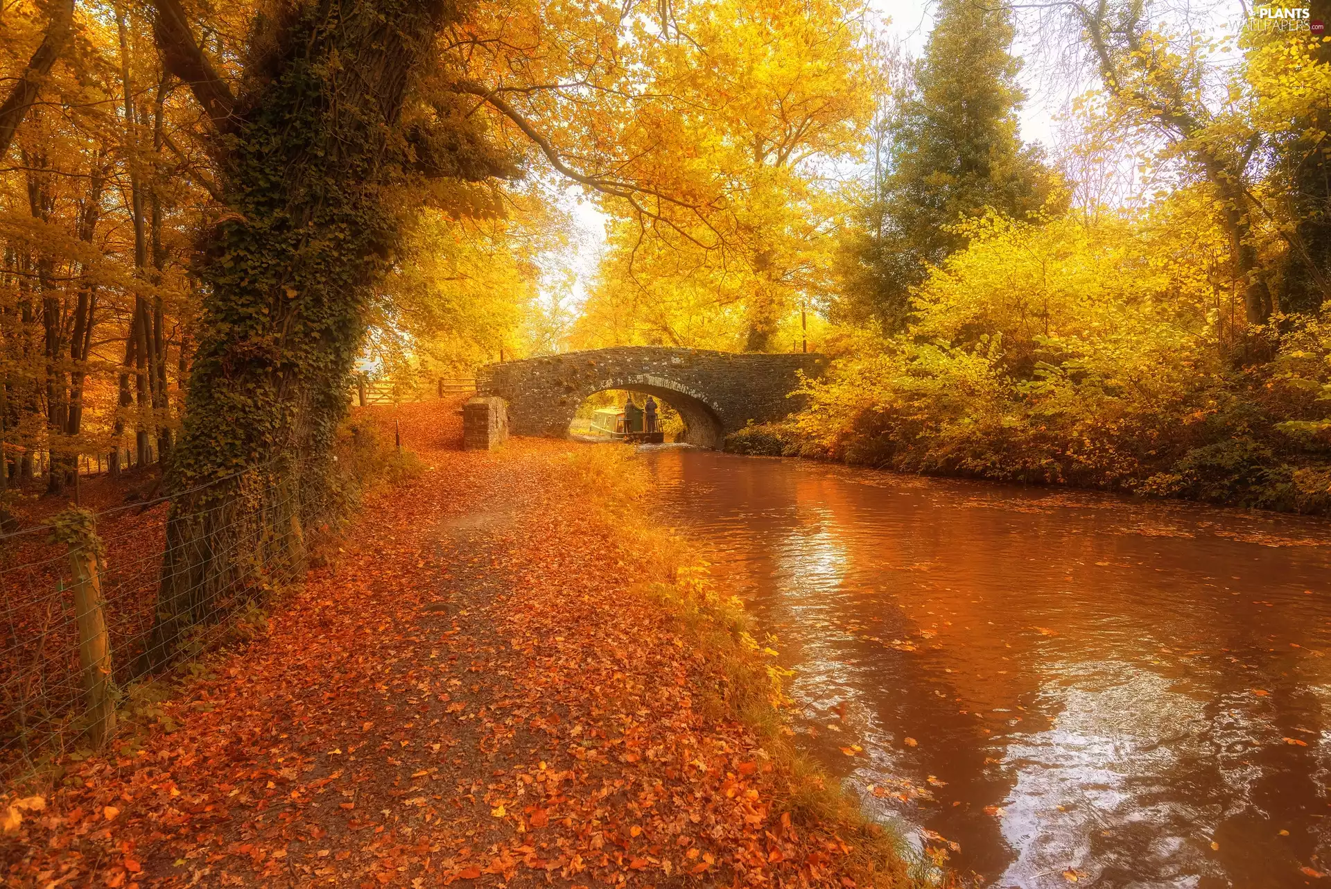 bridge, River, viewes, stone, Park, trees, autumn