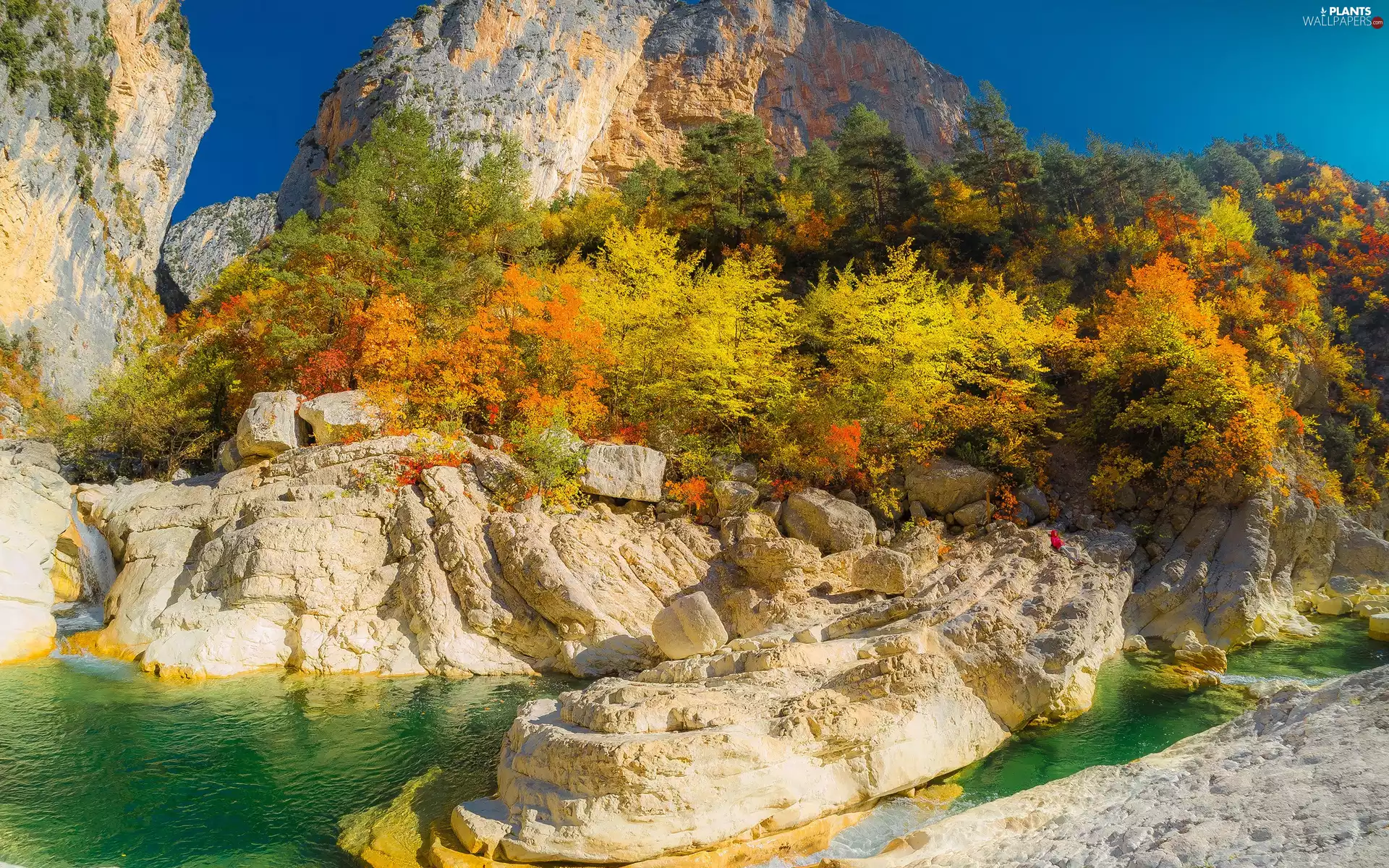 viewes, Mountains, autumn, River, rocks, trees, forest, Stones