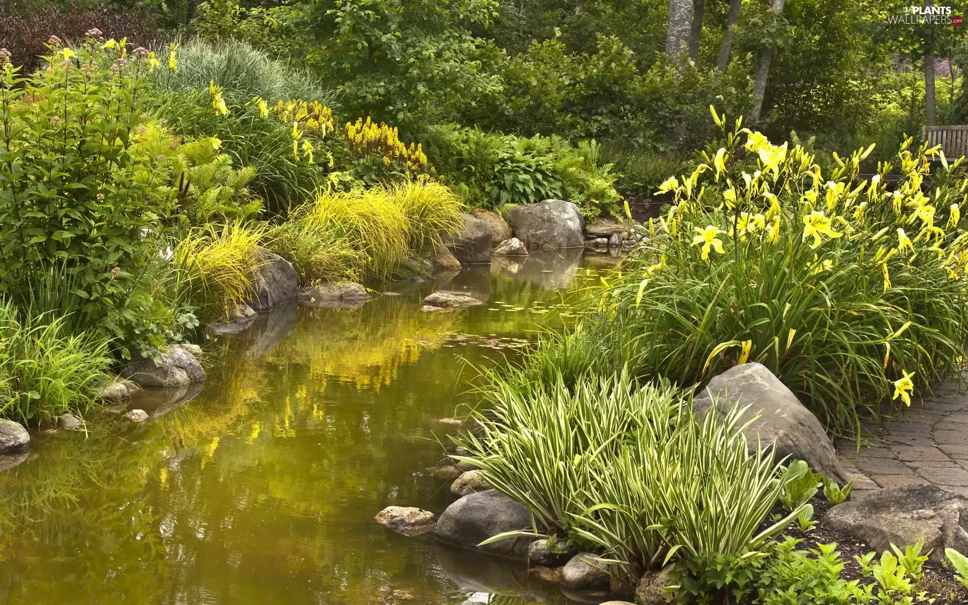 Bush, Stones, brook, Flowers, Park