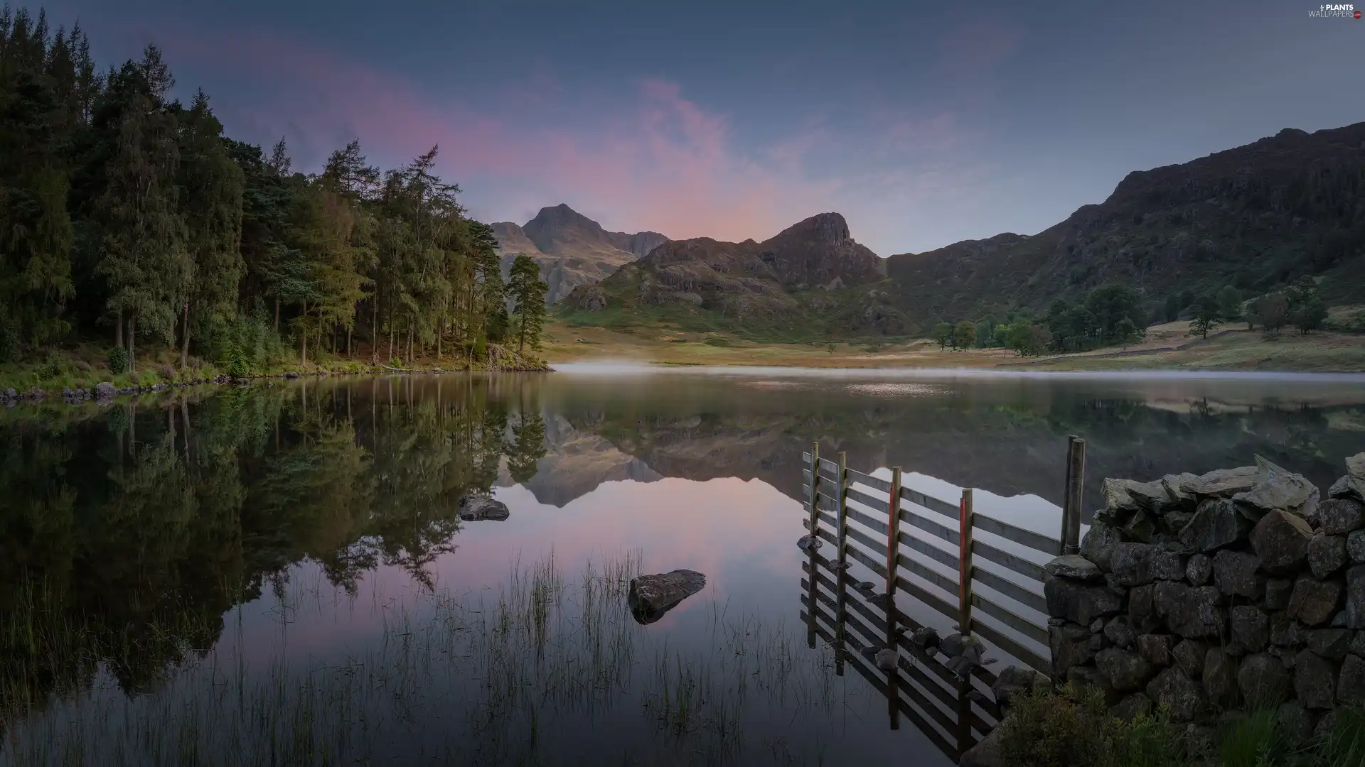 Stones, trees, Mountains, coast, lake, forest, viewes, fence, clear, reflection